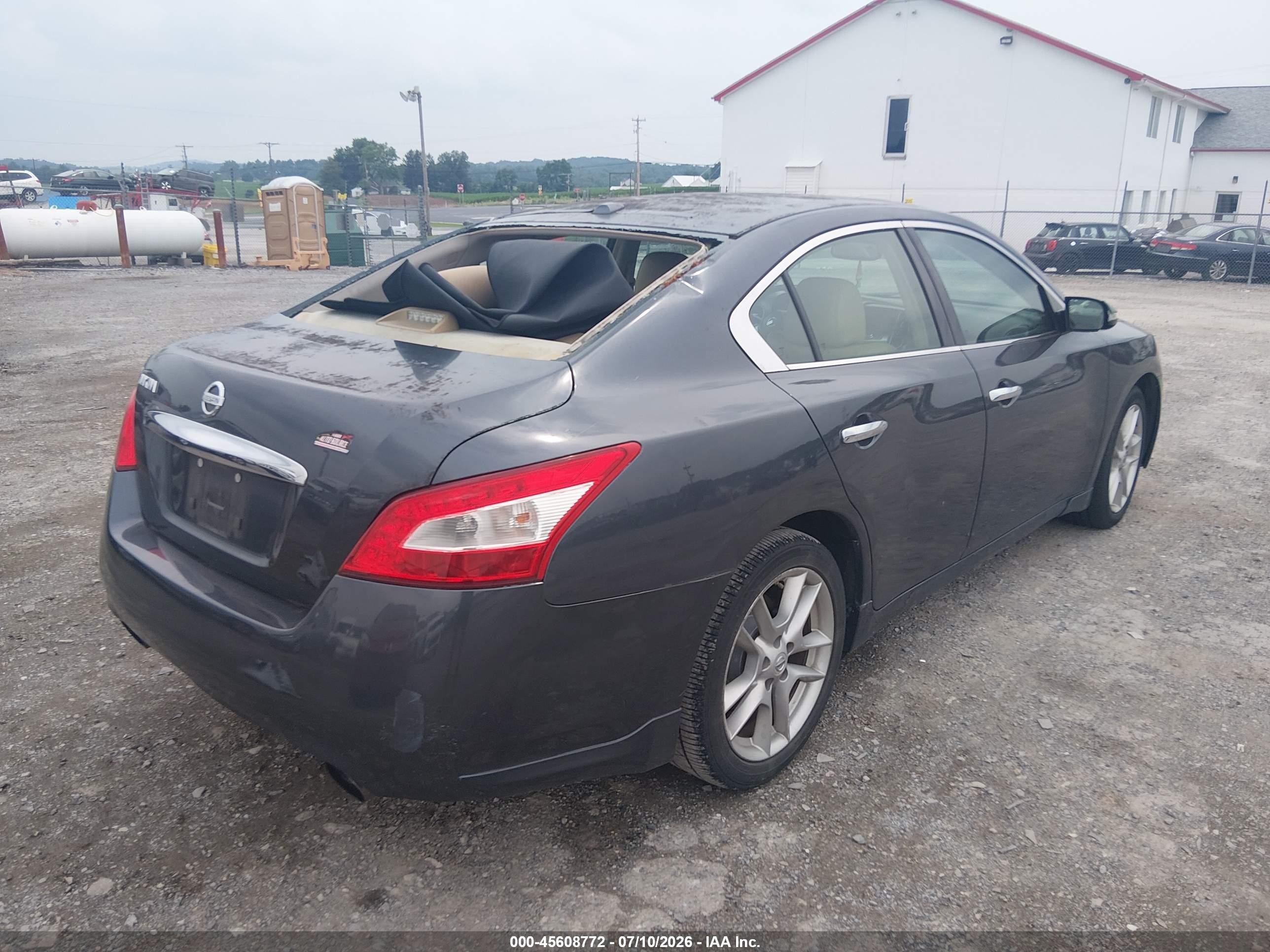 2010 Nissan Maxima 3.5 Sv Gray vin: 1N4AA5AP1AC870078