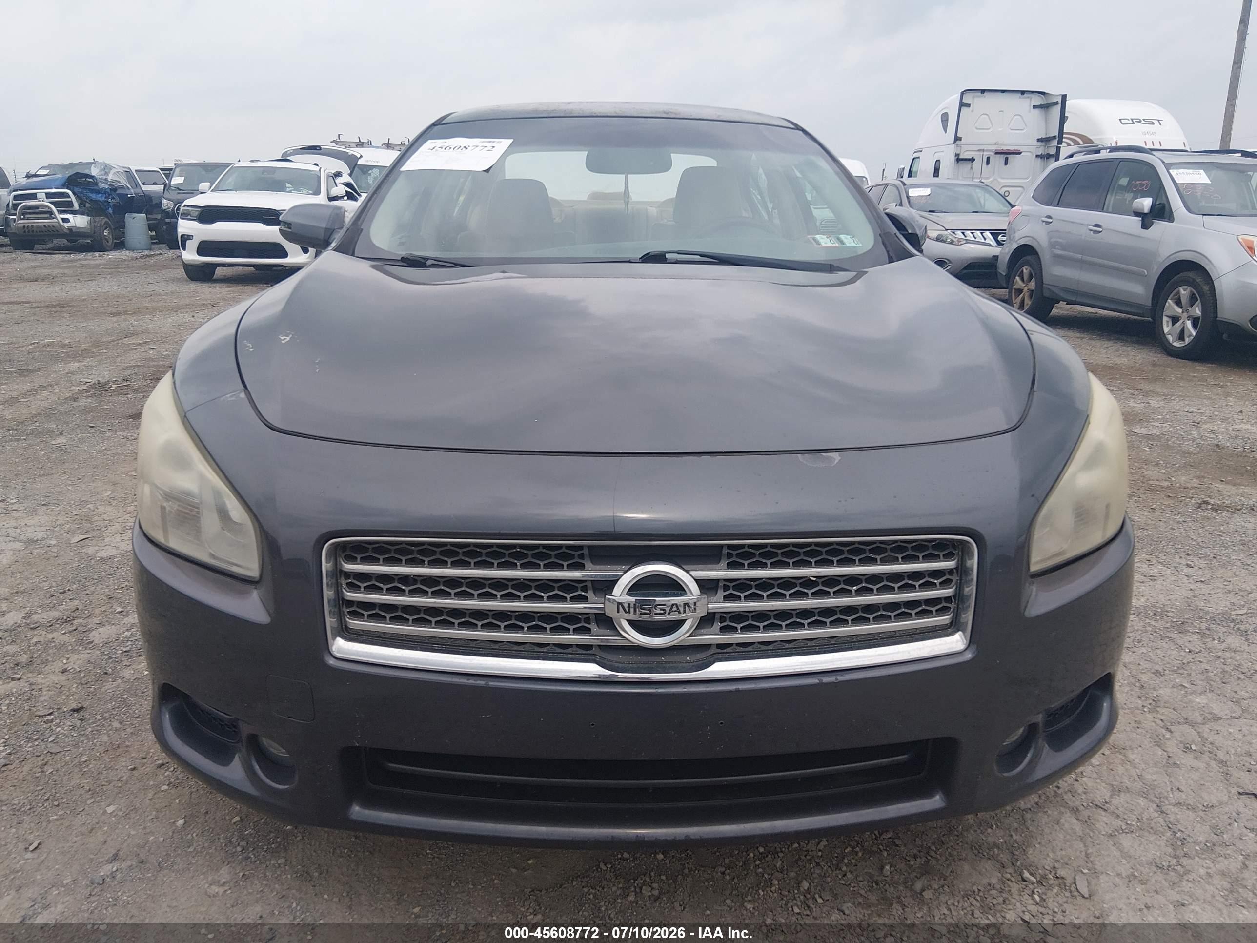 2010 Nissan Maxima 3.5 Sv Gray vin: 1N4AA5AP1AC870078