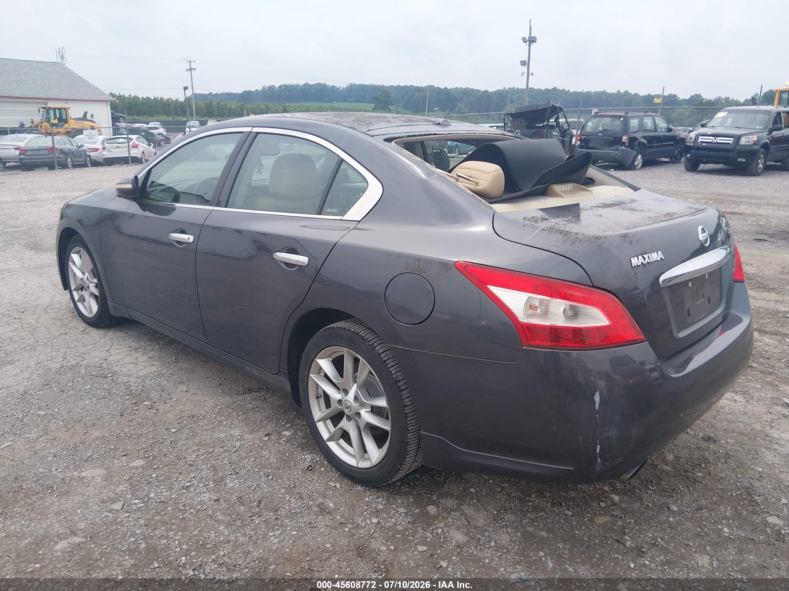 2010 Nissan Maxima 3.5 Sv Gray vin: 1N4AA5AP1AC870078