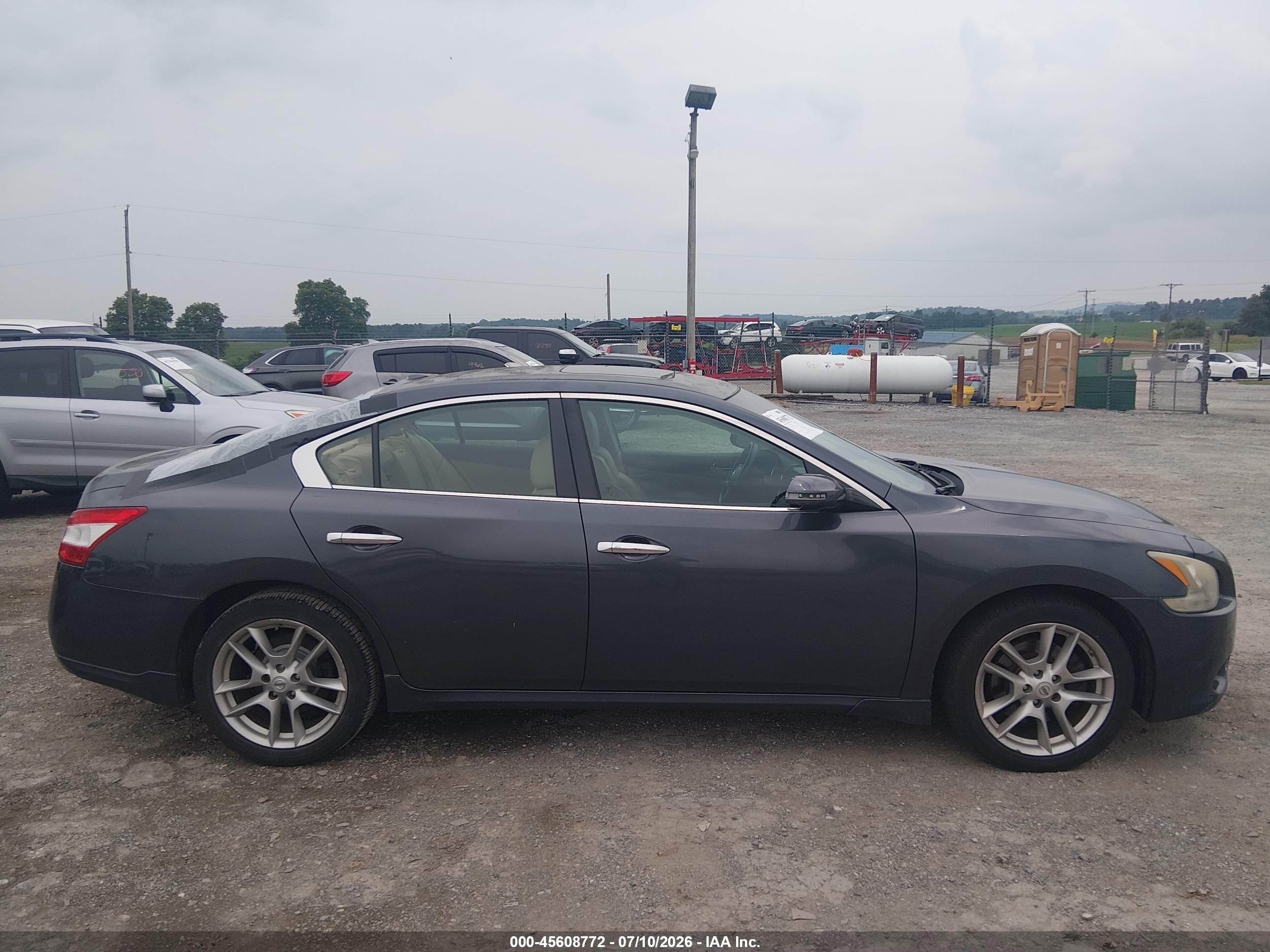 2010 Nissan Maxima 3.5 Sv Gray vin: 1N4AA5AP1AC870078
