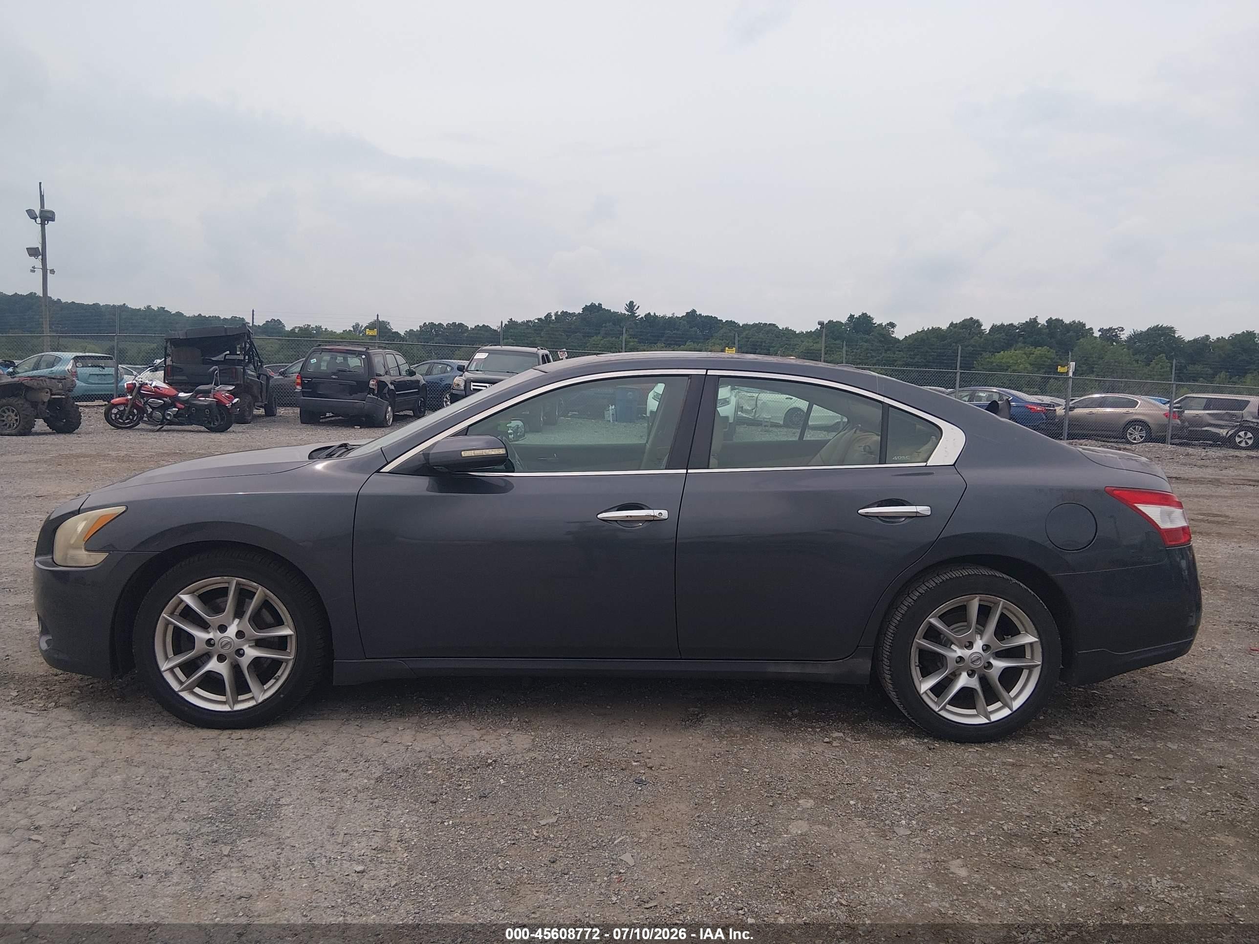 2010 Nissan Maxima 3.5 Sv Gray vin: 1N4AA5AP1AC870078