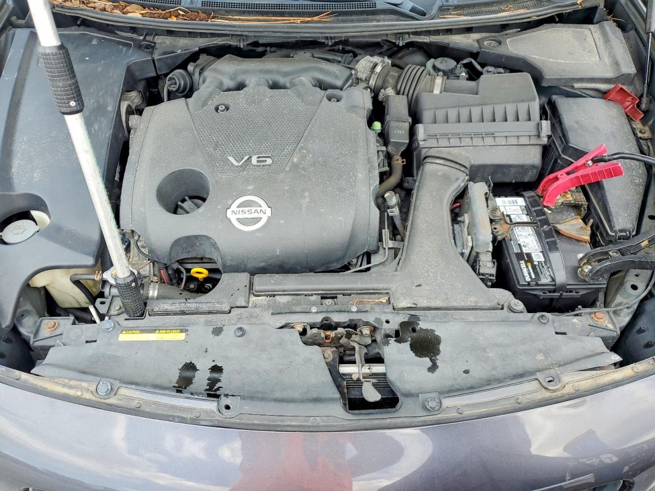 2011 Nissan Maxima 3.5 S Gray vin: 1N4AA5AP1BC842394