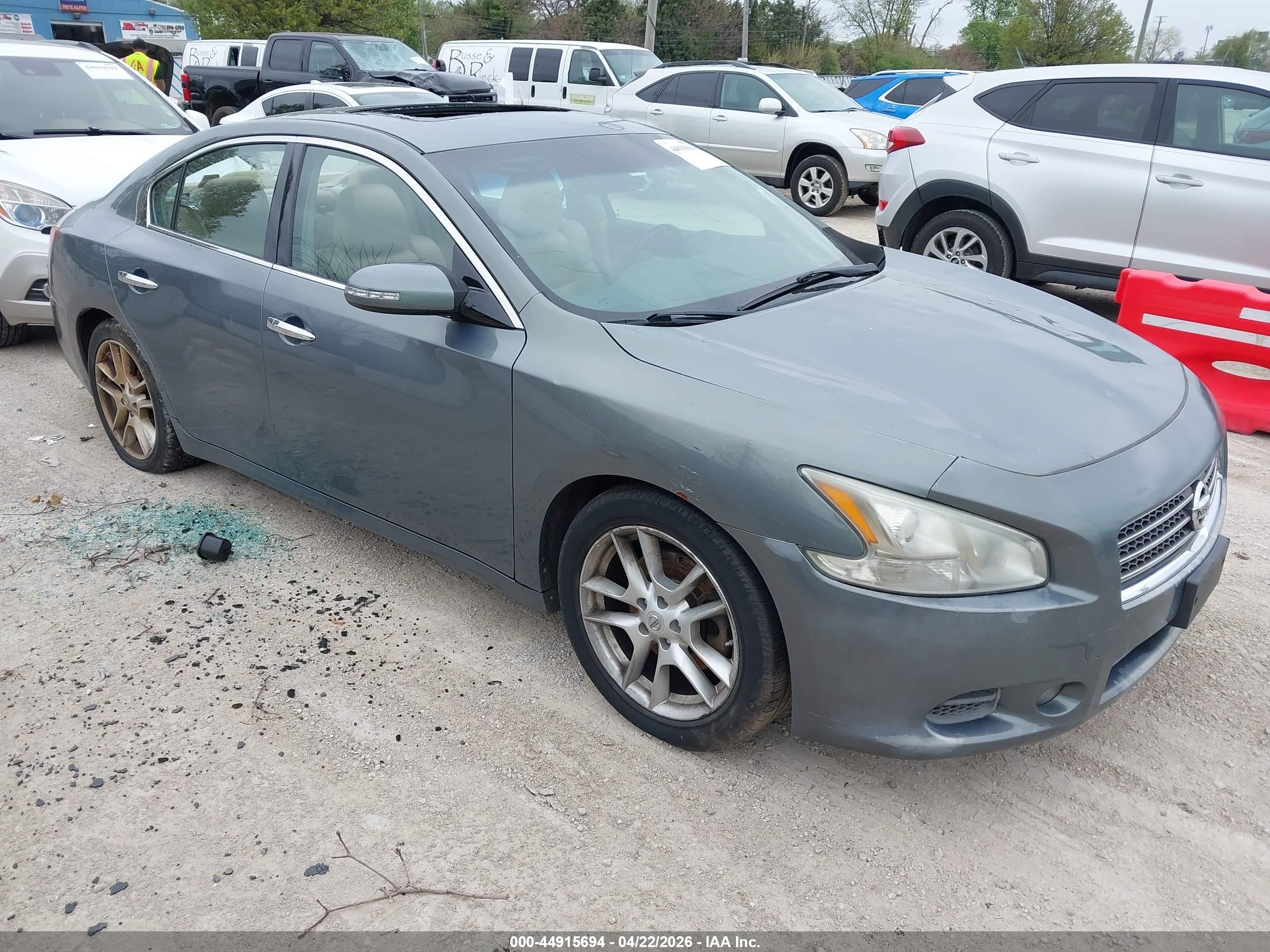 2011 Nissan Maxima 3.5 Sv Gray vin: 1N4AA5AP1BC845733