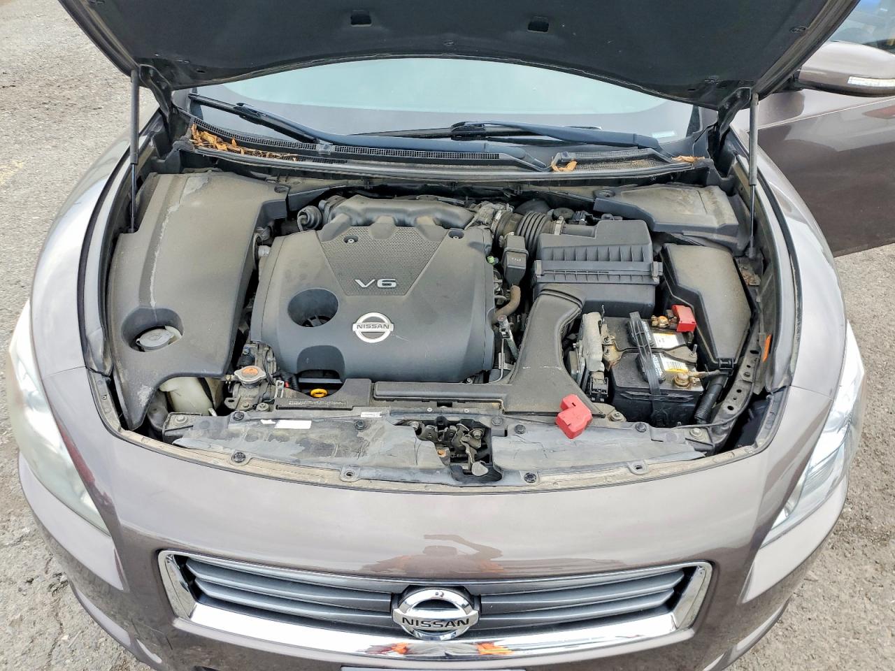 2013 Nissan Maxima 3.5 S Brown vin: 1N4AA5AP1DC816106