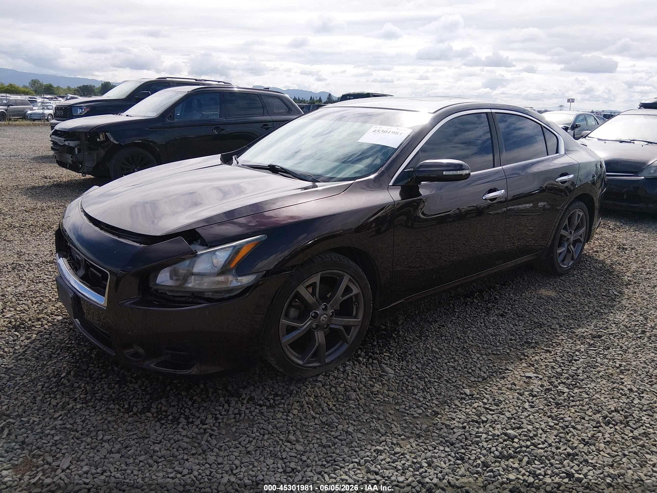 2013 Nissan Maxima 3.5 Sv Burgundy vin: 1N4AA5AP1DC842446