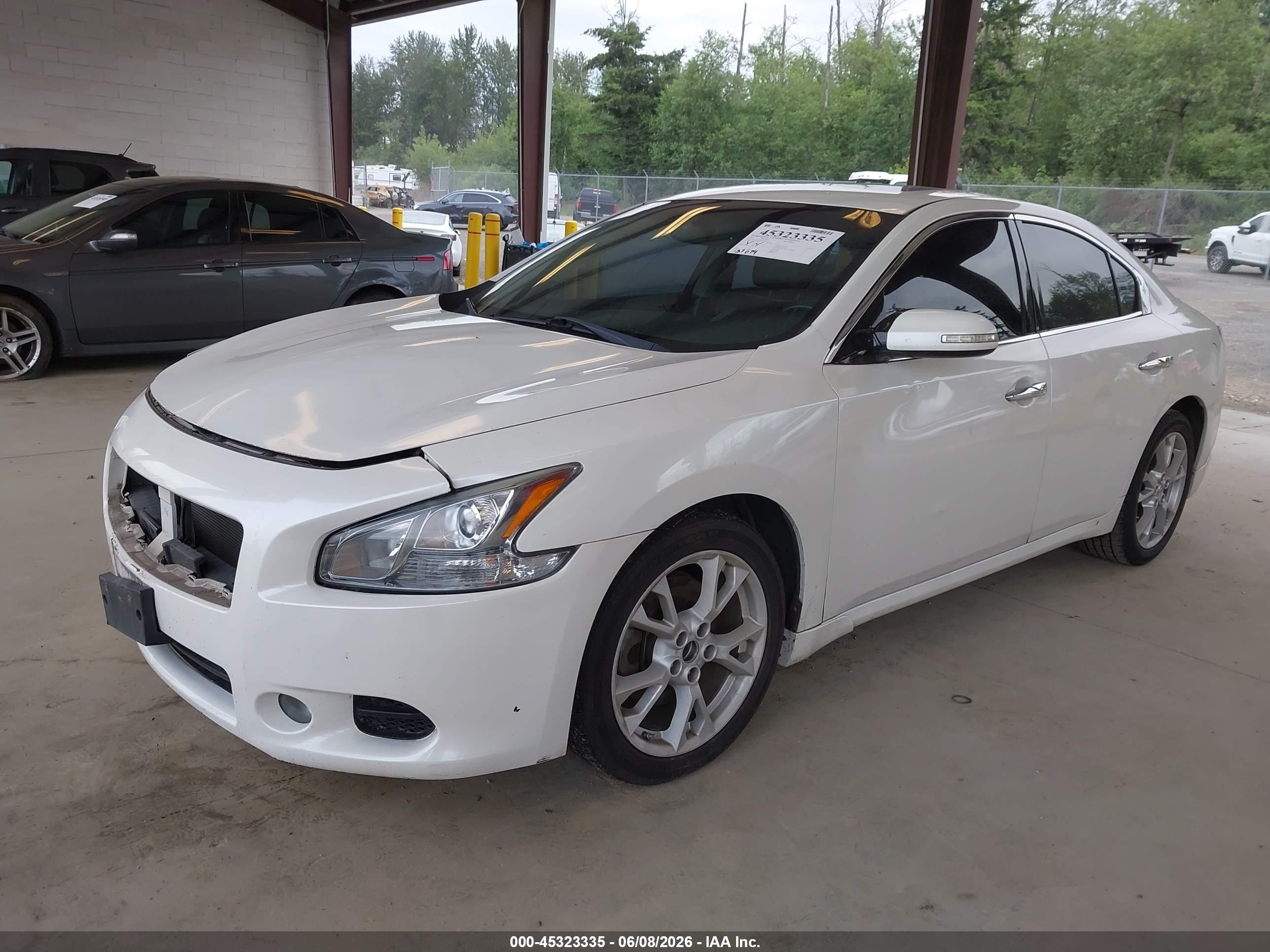 2013 Nissan Maxima 3.5 Sv White vin: 1N4AA5AP1DC843337