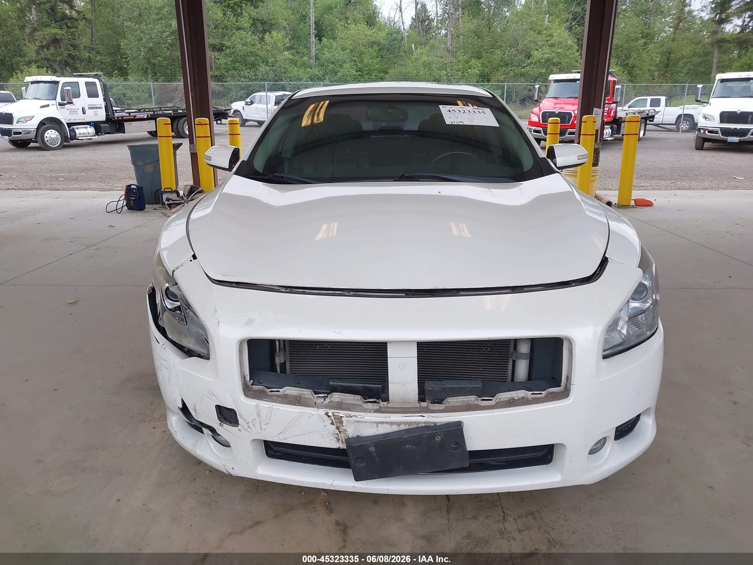 2013 Nissan Maxima 3.5 Sv White vin: 1N4AA5AP1DC843337