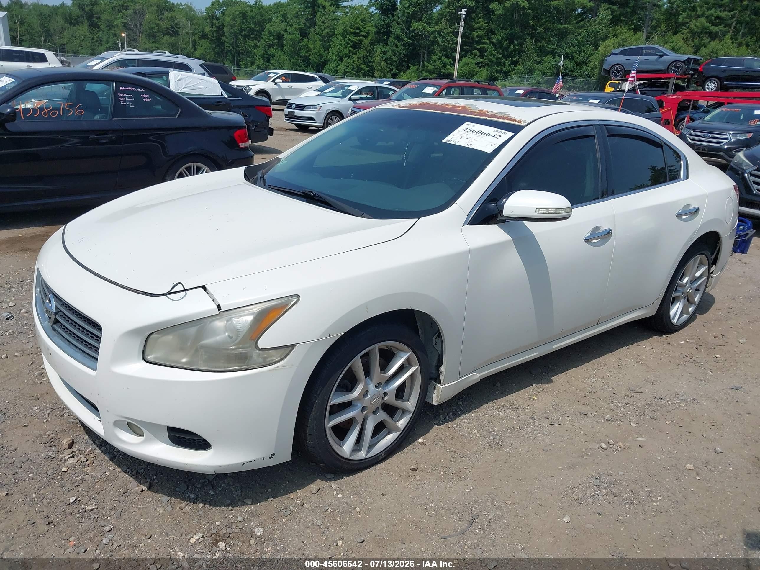 2010 Nissan Maxima 3.5 Sv White vin: 1N4AA5AP2AC810407