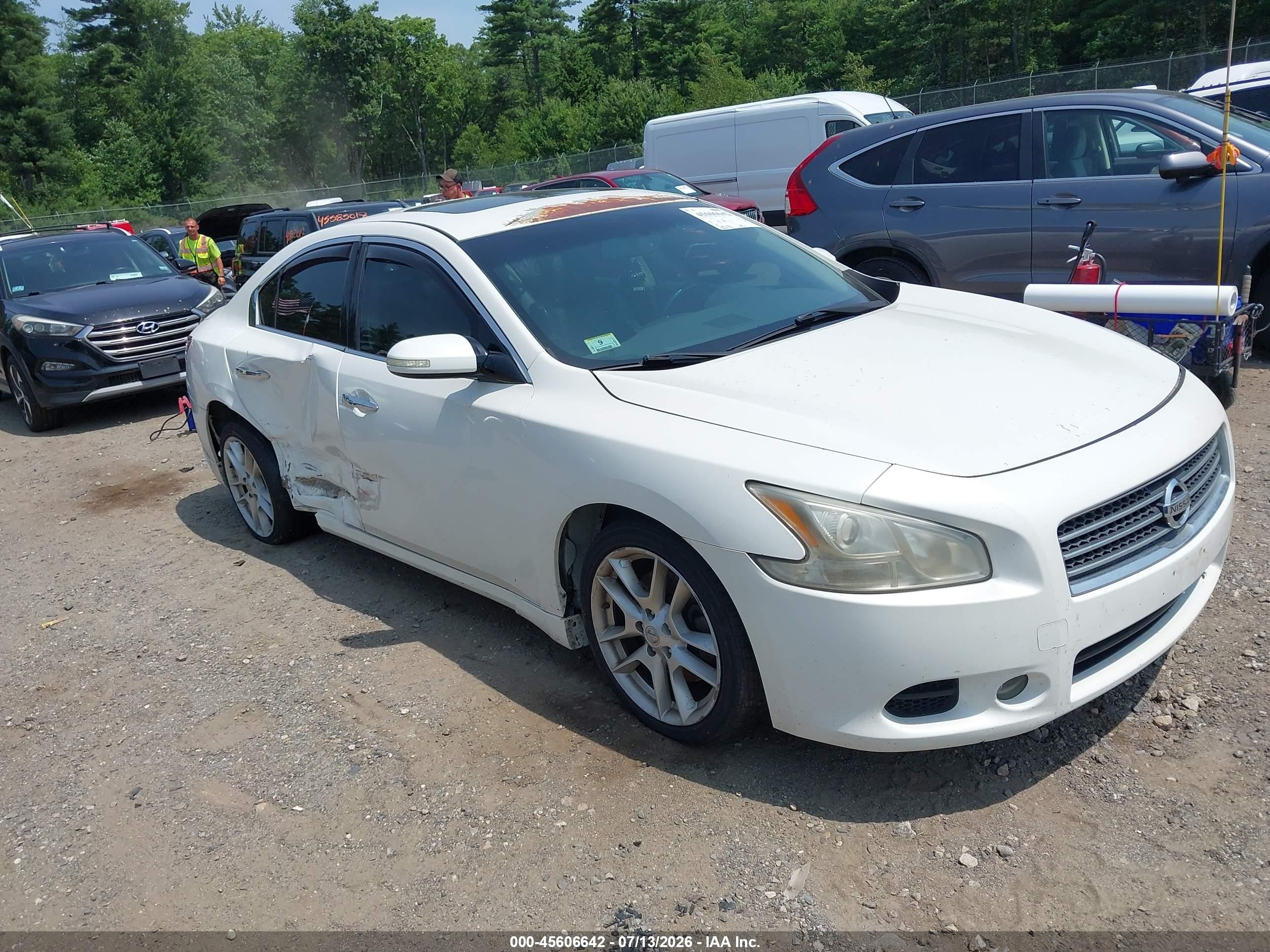 2010 Nissan Maxima 3.5 Sv White vin: 1N4AA5AP2AC810407