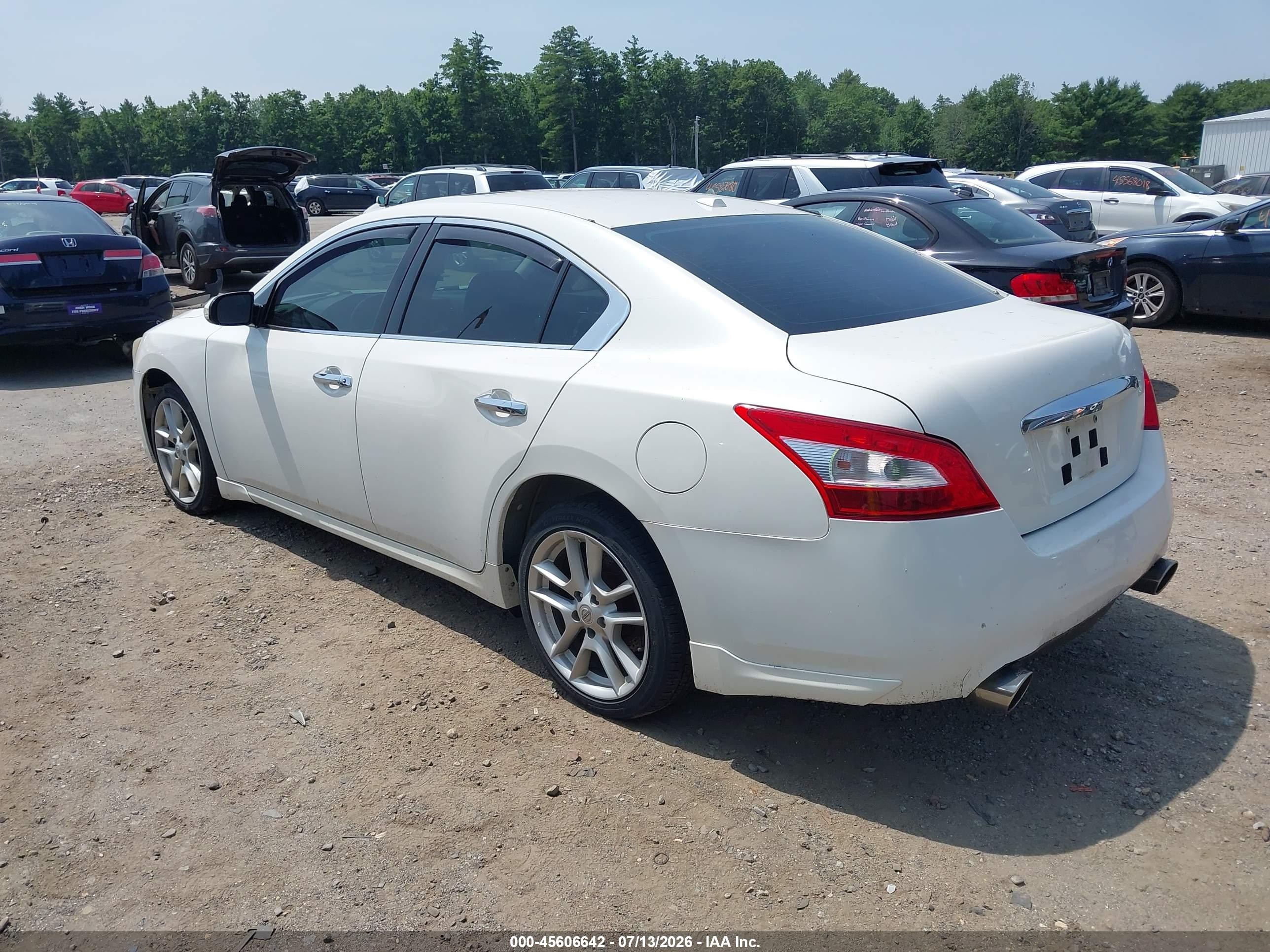 2010 Nissan Maxima 3.5 Sv White vin: 1N4AA5AP2AC810407