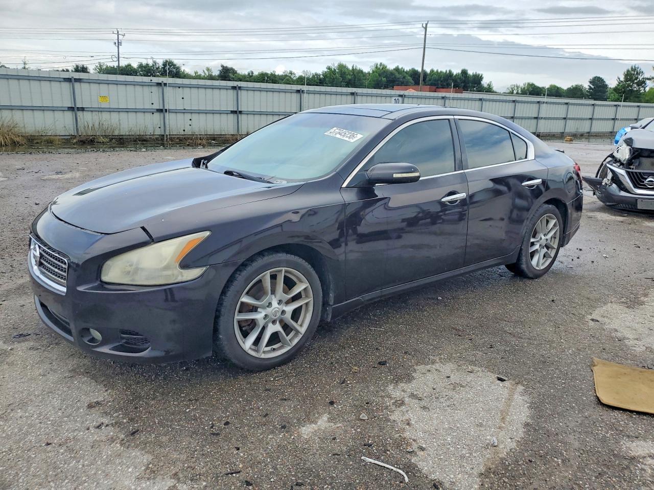2010 Nissan Maxima 3.5 S Purple vin: 1N4AA5AP2AC855900