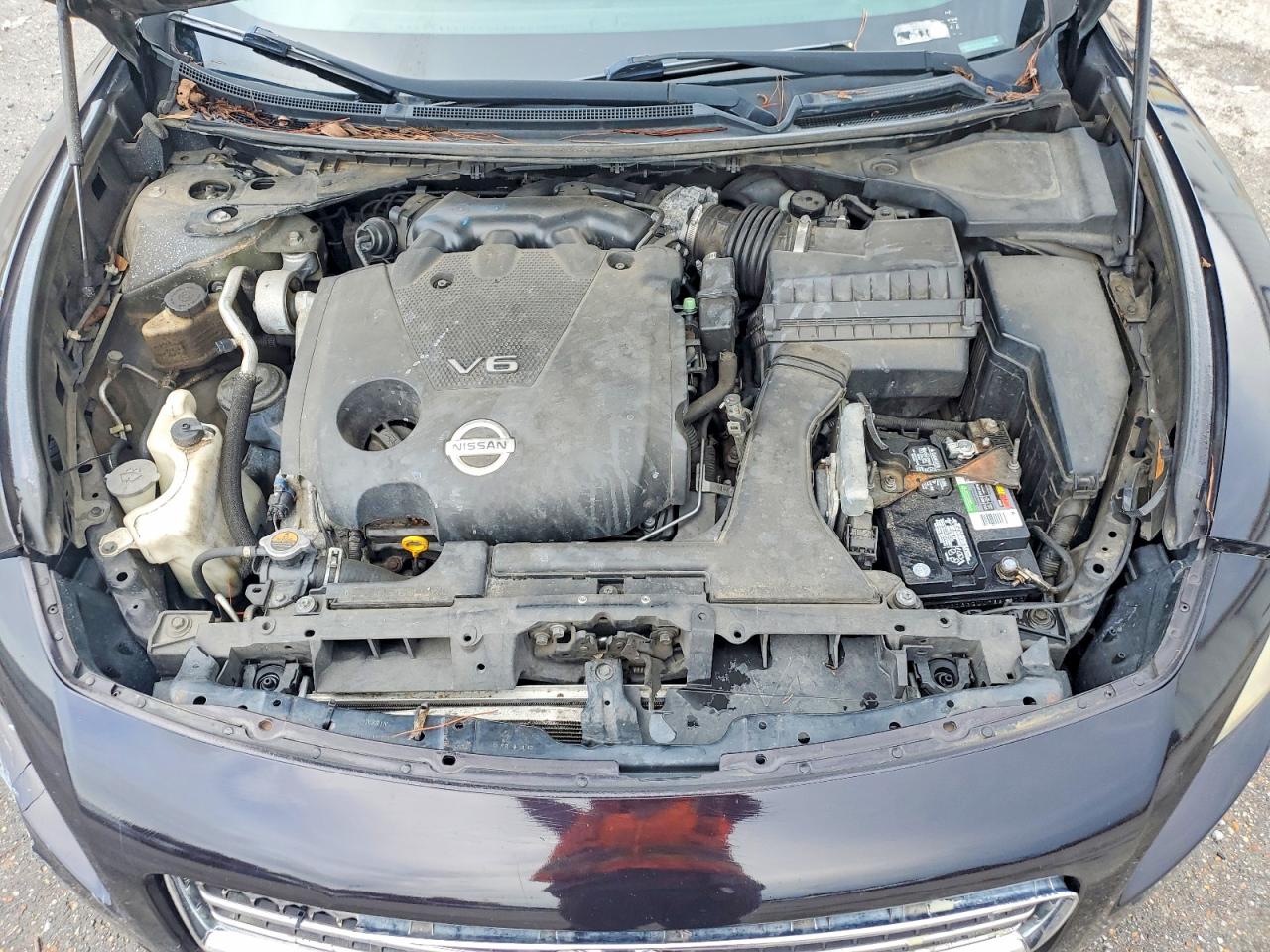 2010 Nissan Maxima 3.5 S Purple vin: 1N4AA5AP2AC855900
