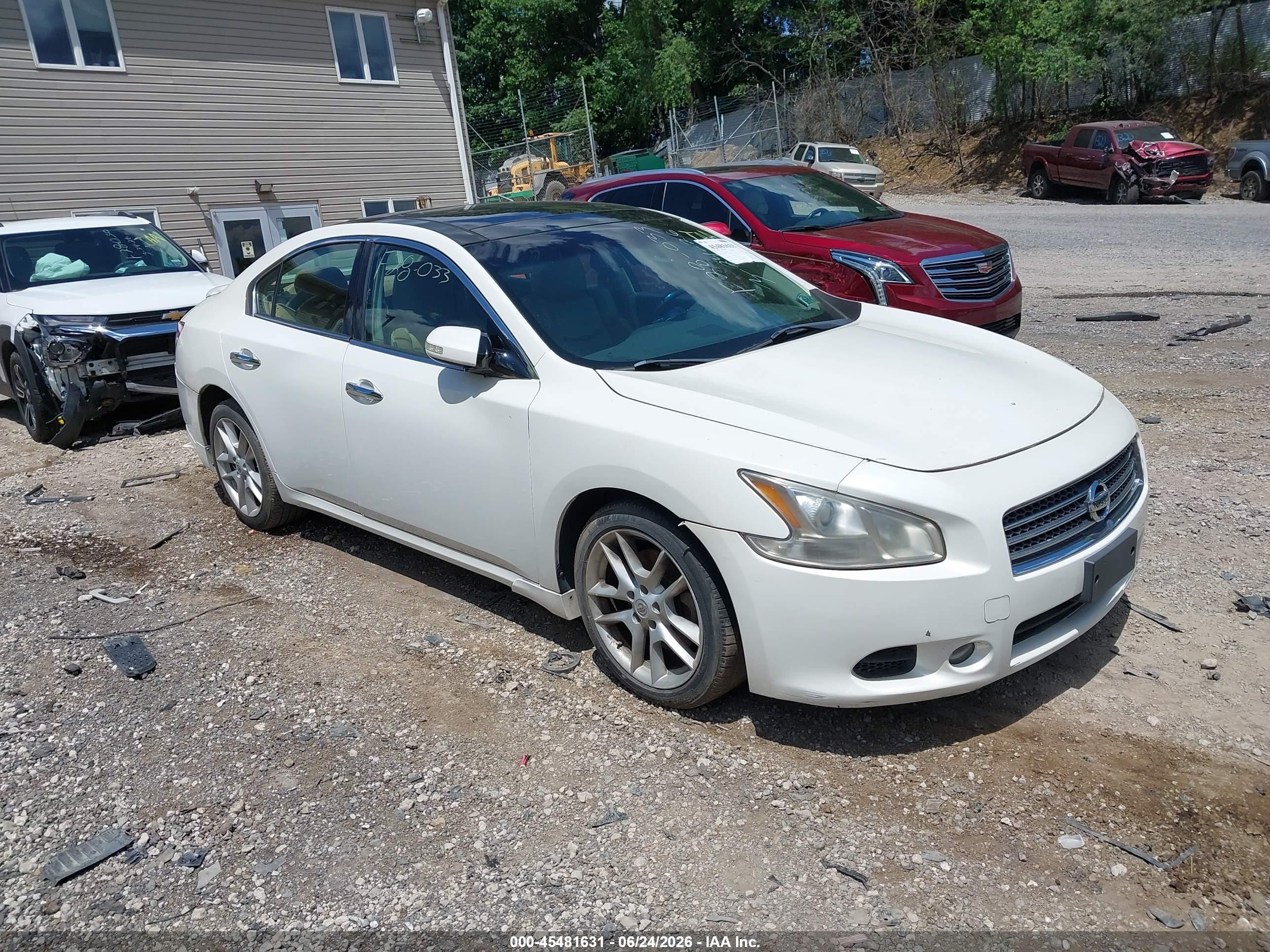 2010 Nissan Maxima 3.5 Sv White vin: 1N4AA5AP2AC874687