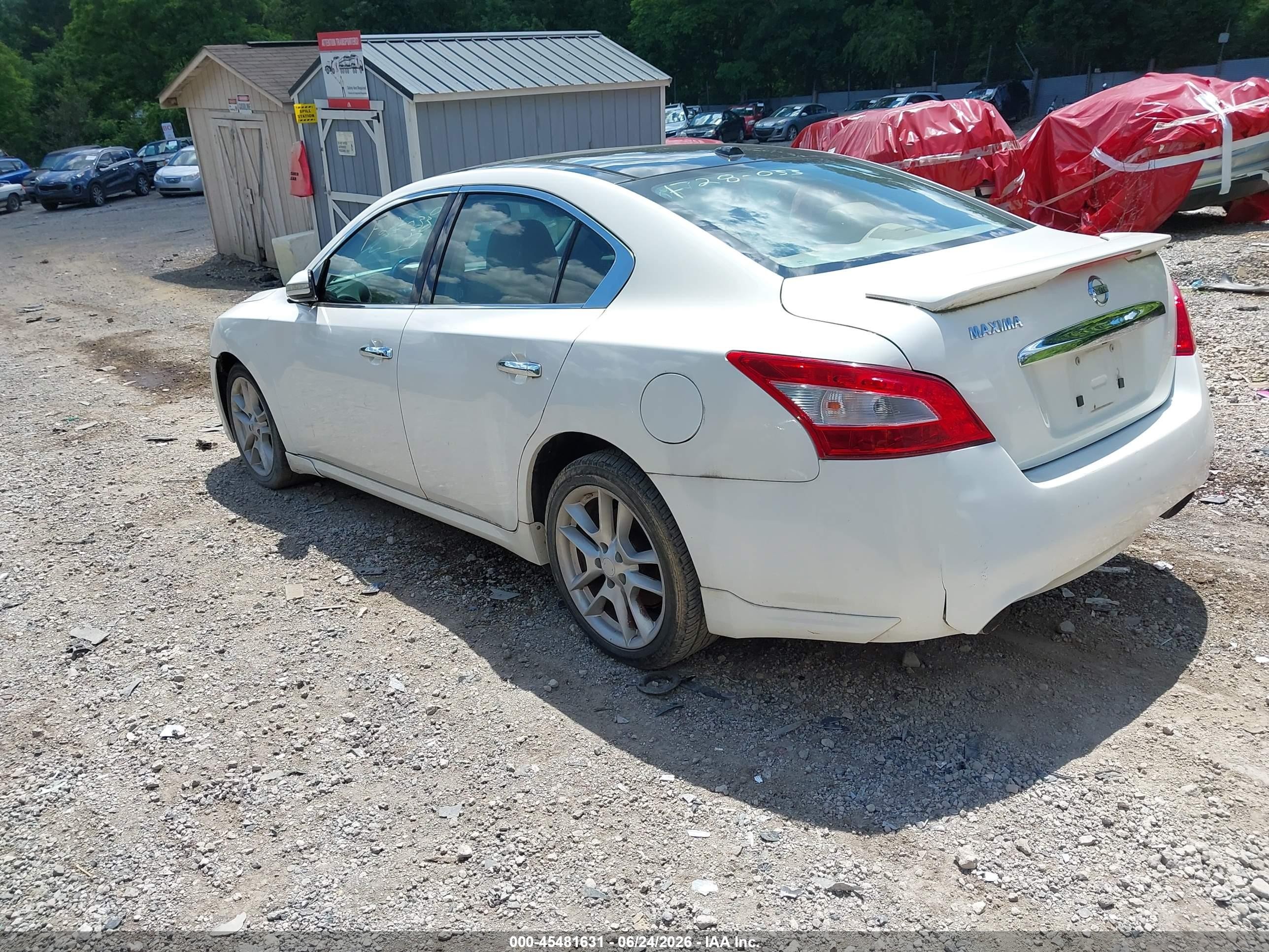 2010 Nissan Maxima 3.5 Sv White vin: 1N4AA5AP2AC874687