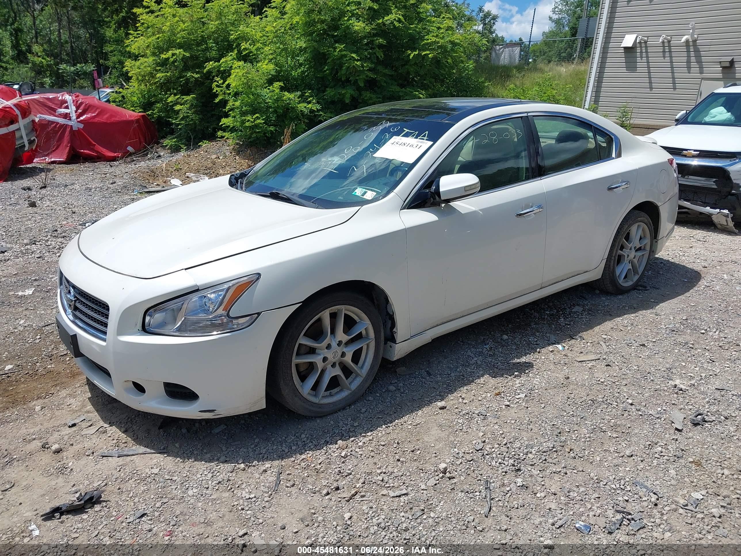 2010 Nissan Maxima 3.5 Sv White vin: 1N4AA5AP2AC874687