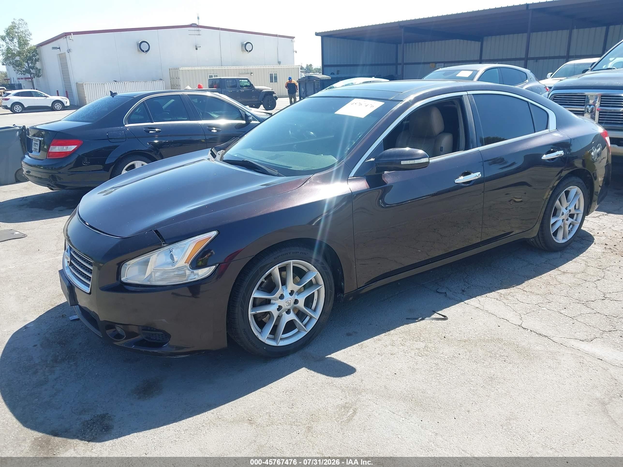 2011 Nissan Maxima 3.5 Sv Purple vin: 1N4AA5AP2BC828164