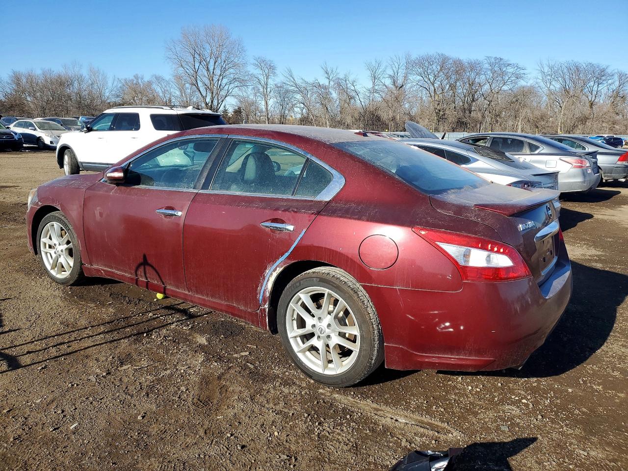 2011 Nissan Maxima Brown vin: 1N4AA5AP2BC843022