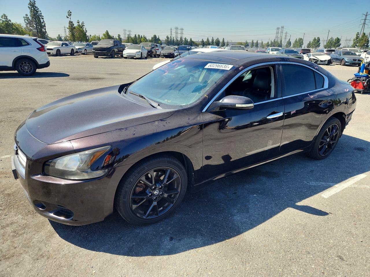 2012 Nissan Maxima 3.5 S Purple vin: 1N4AA5AP2CC811270