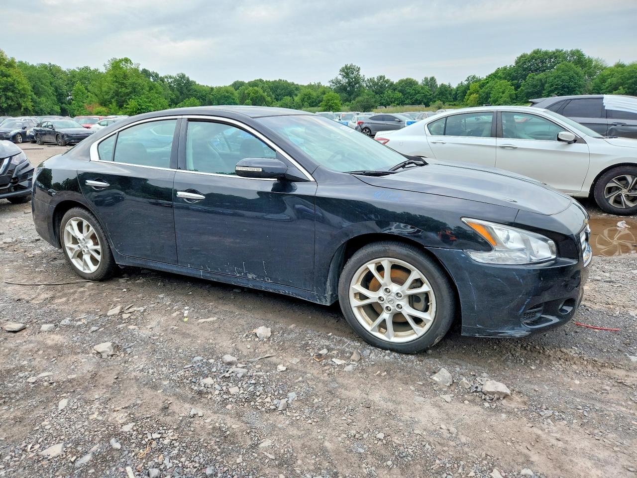 2013 Nissan Maxima 3.5 Sv Black vin: 1N4AA5AP2DC839023