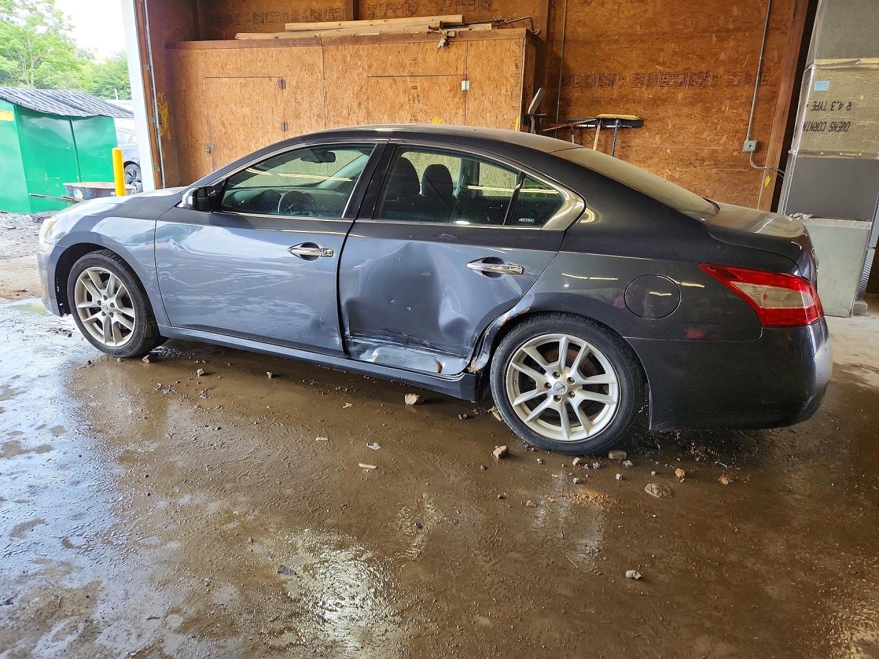 2010 Nissan Maxima 3.5 S Gray vin: 1N4AA5AP3AC808567
