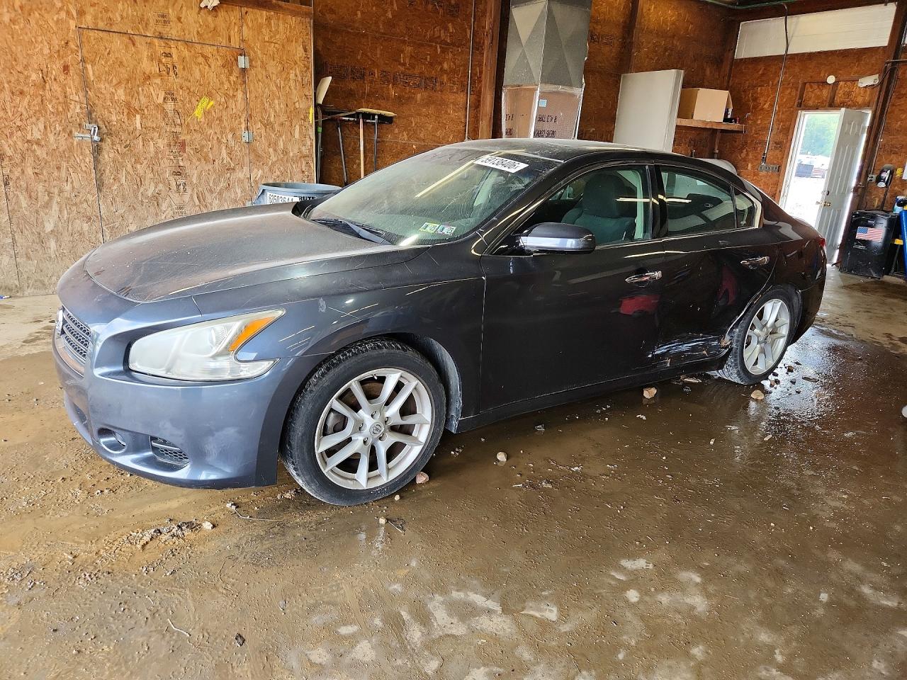 2010 Nissan Maxima 3.5 S Gray vin: 1N4AA5AP3AC808567