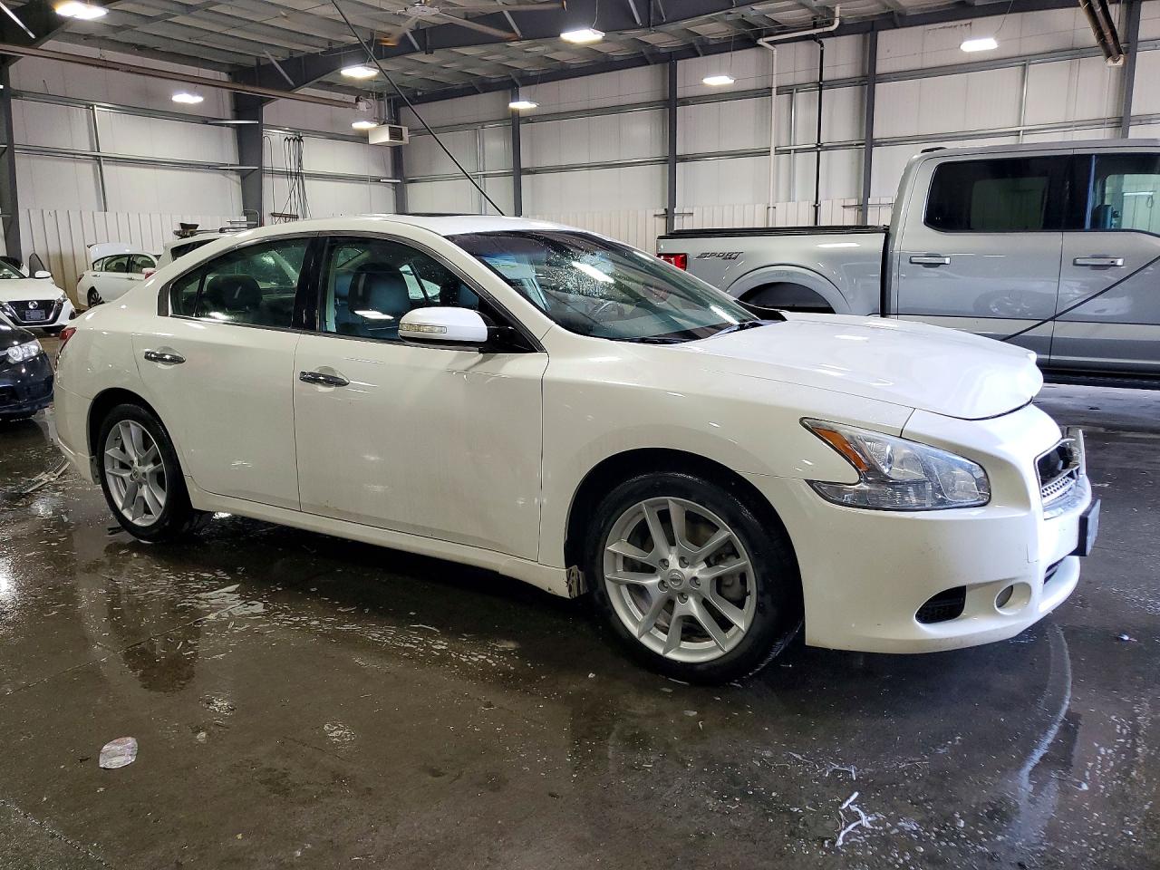 2010 Nissan Maxima S White vin: 1N4AA5AP3AC814630