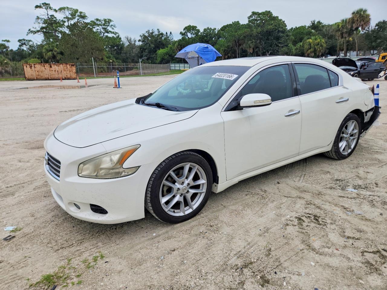2010 Nissan Maxima 3.5 S Белый vin: 1N4AA5AP3AC842847