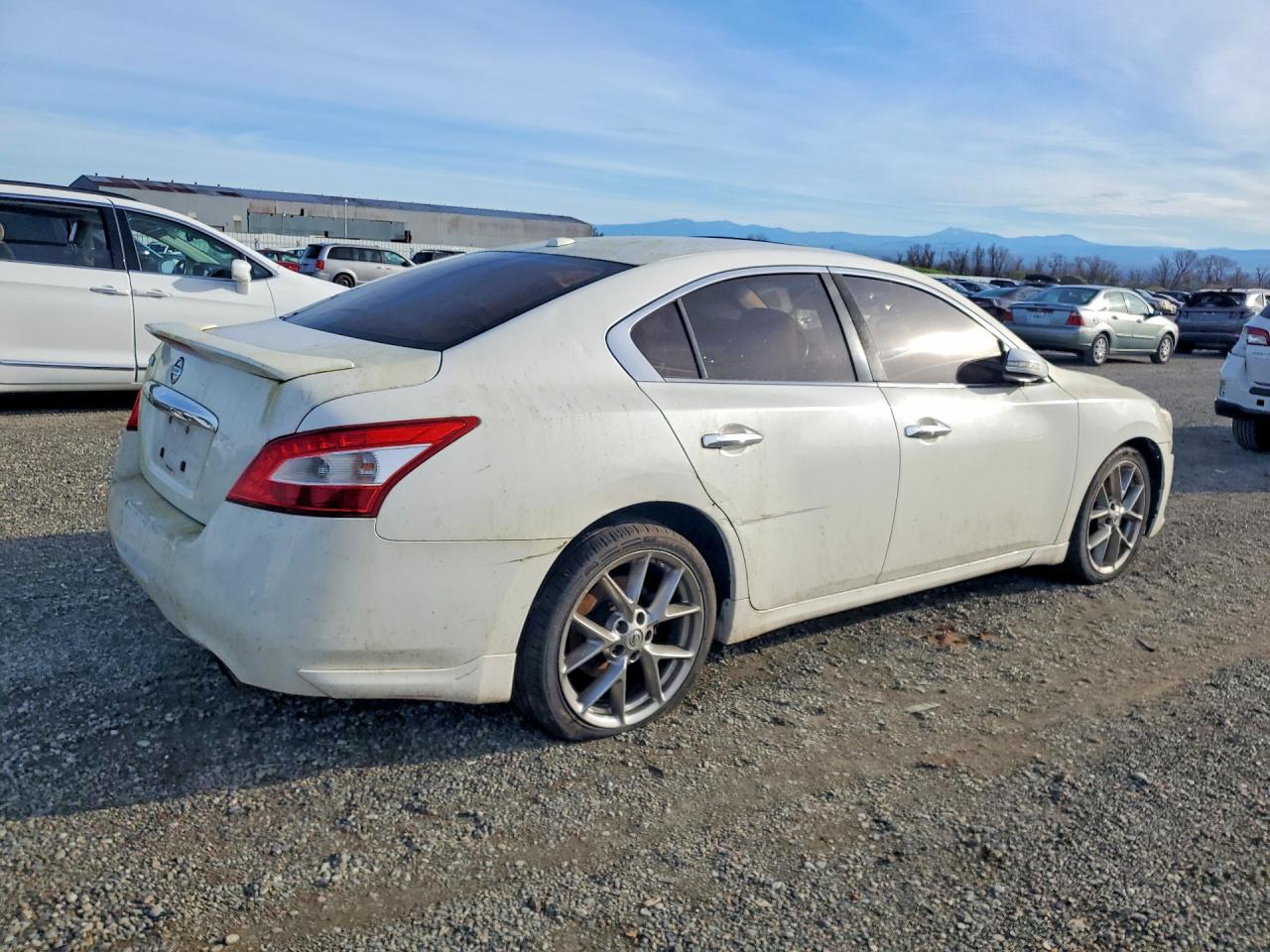 2010 Nissan Maxima White vin: 1N4AA5AP3AC846770