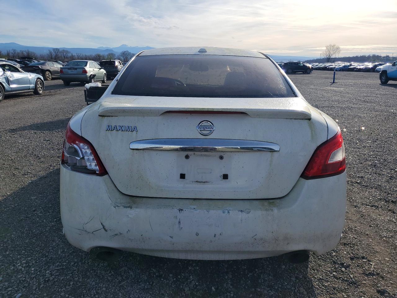 2010 Nissan Maxima White vin: 1N4AA5AP3AC846770