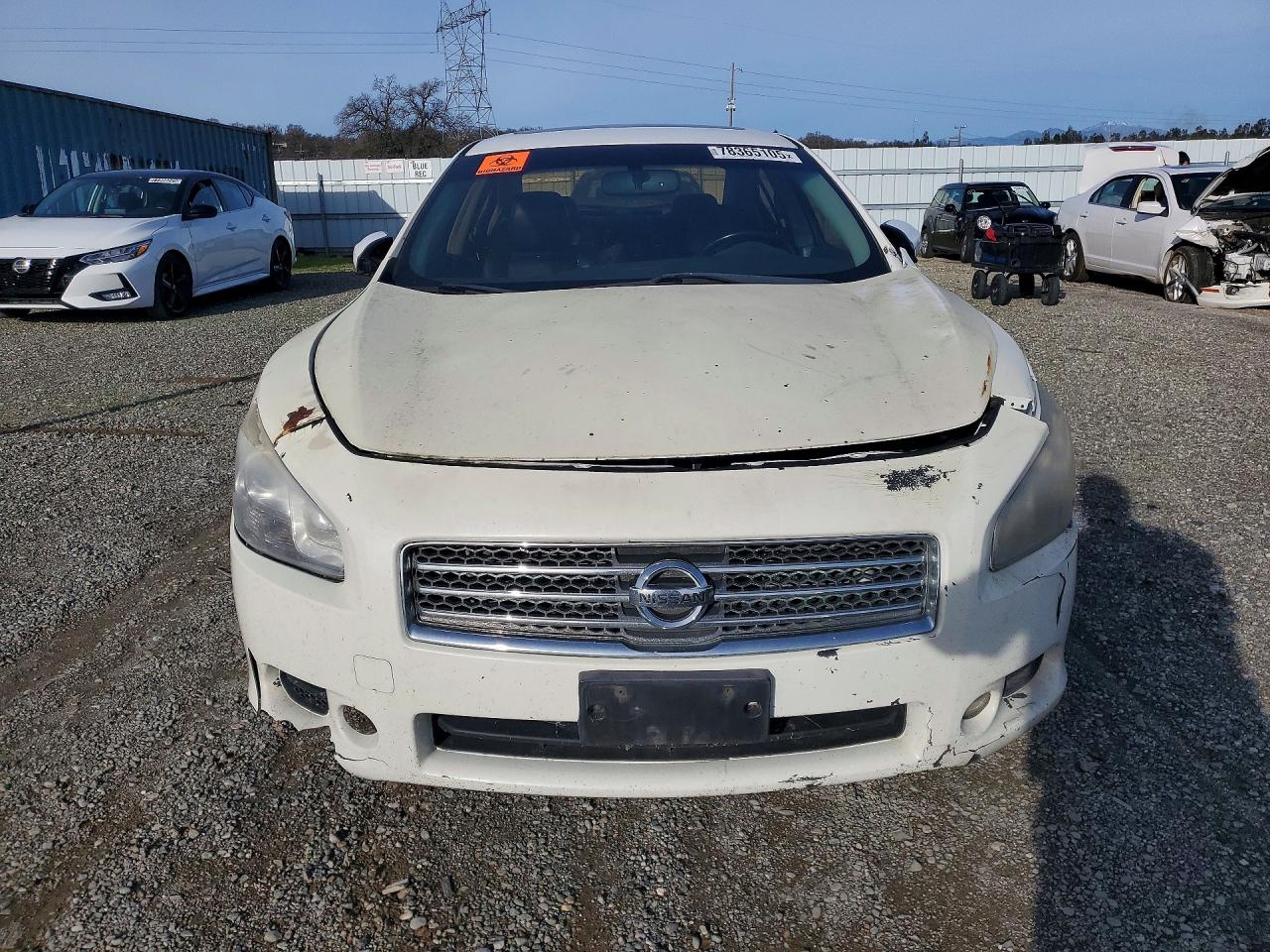 2010 Nissan Maxima White vin: 1N4AA5AP3AC846770