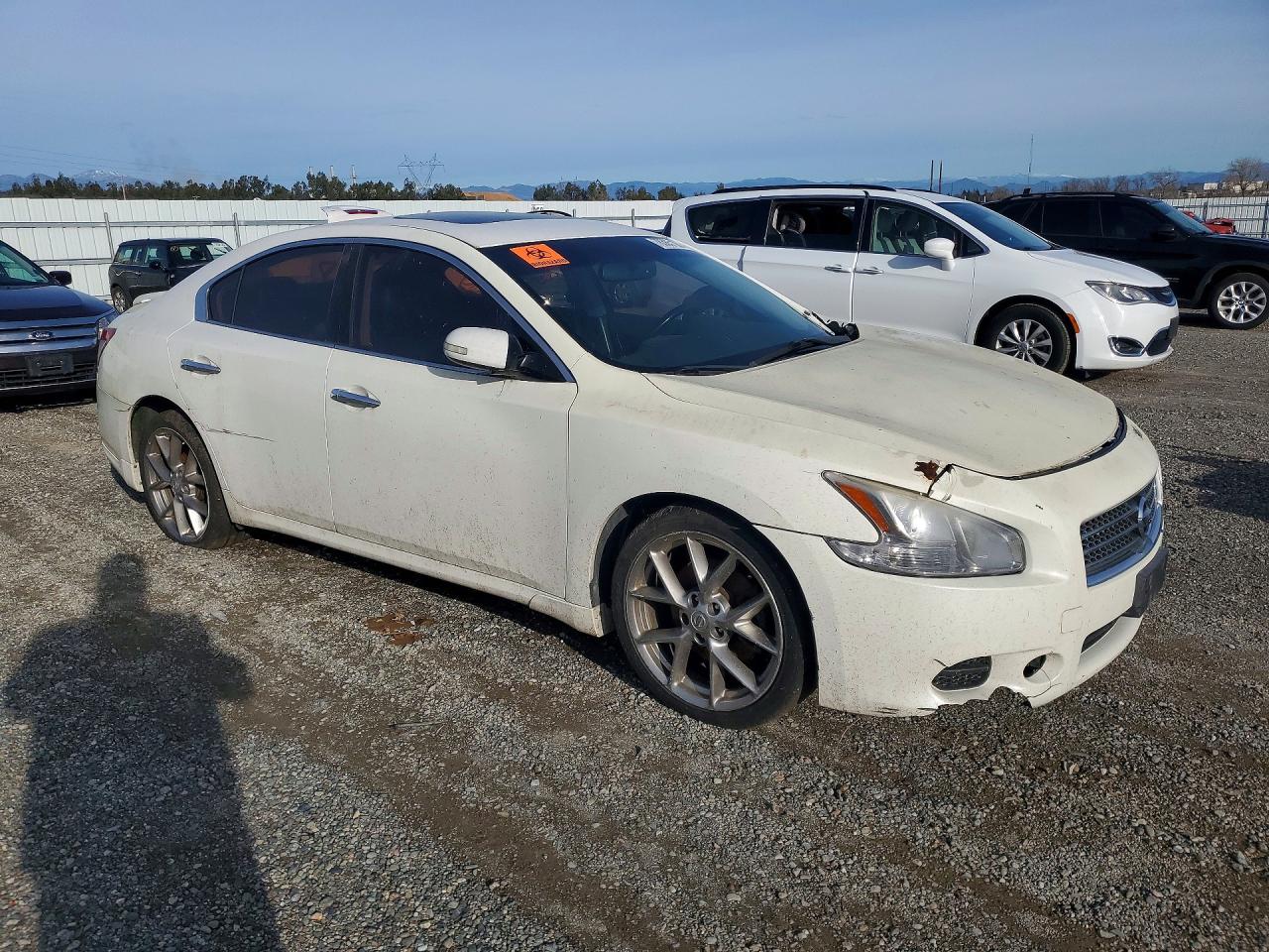 2010 Nissan Maxima White vin: 1N4AA5AP3AC846770