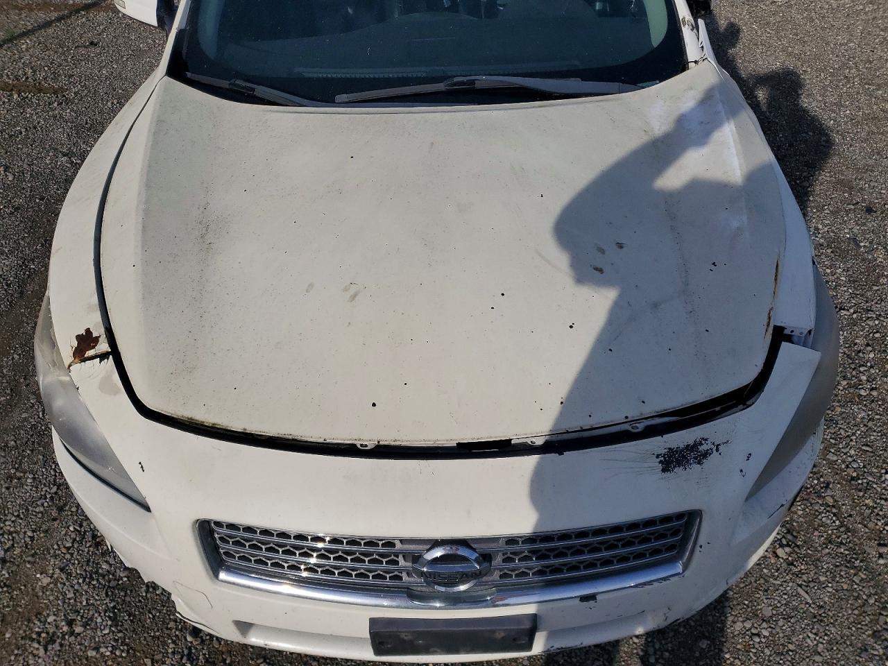 2010 Nissan Maxima White vin: 1N4AA5AP3AC846770