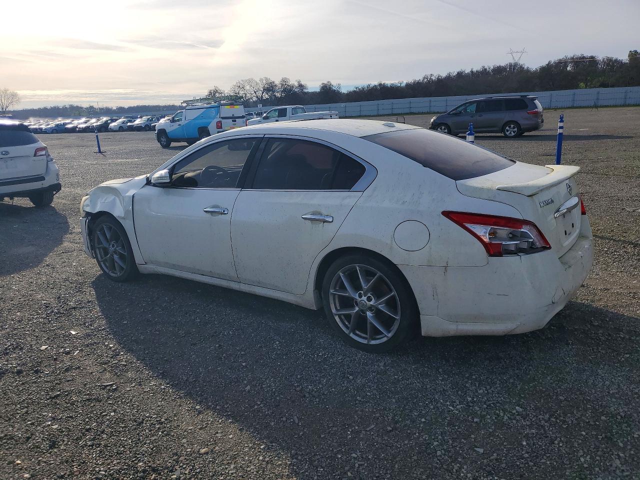 2010 Nissan Maxima White vin: 1N4AA5AP3AC846770