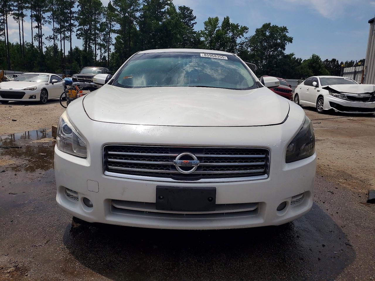 2010 Nissan Maxima S/sv White vin: 1N4AA5AP3AC851953