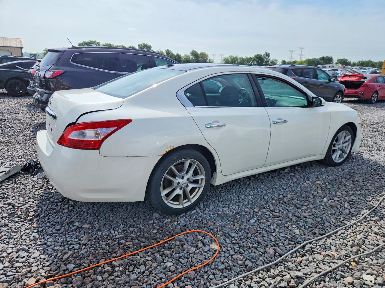 2010 Nissan Maxima S/sv White vin: 1N4AA5AP3AC862466