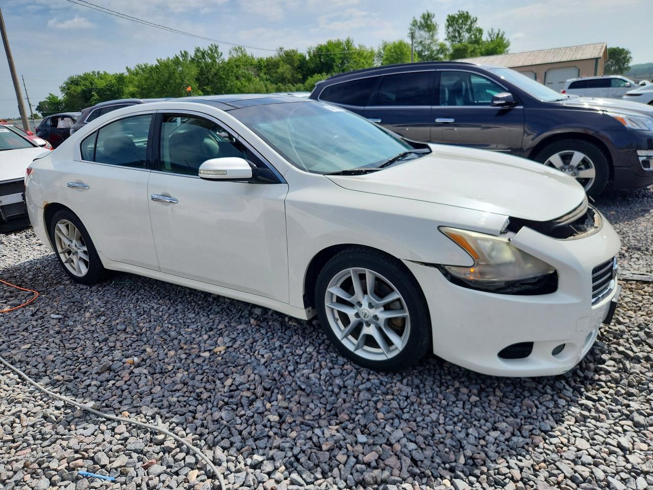 2010 Nissan Maxima S/sv White vin: 1N4AA5AP3AC862466