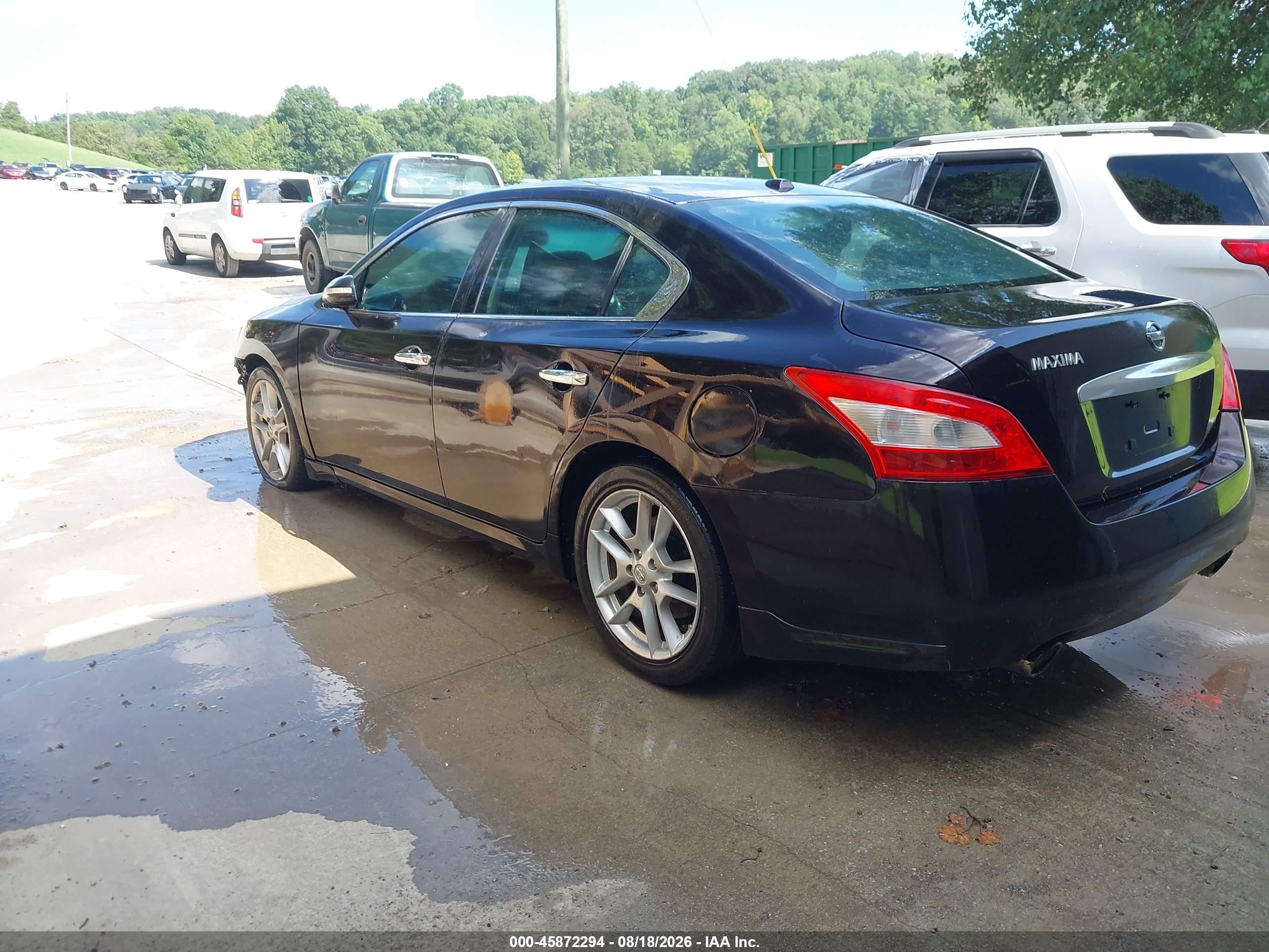 2011 Nissan Maxima 3.5 Sv Purple vin: 1N4AA5AP3BC835608