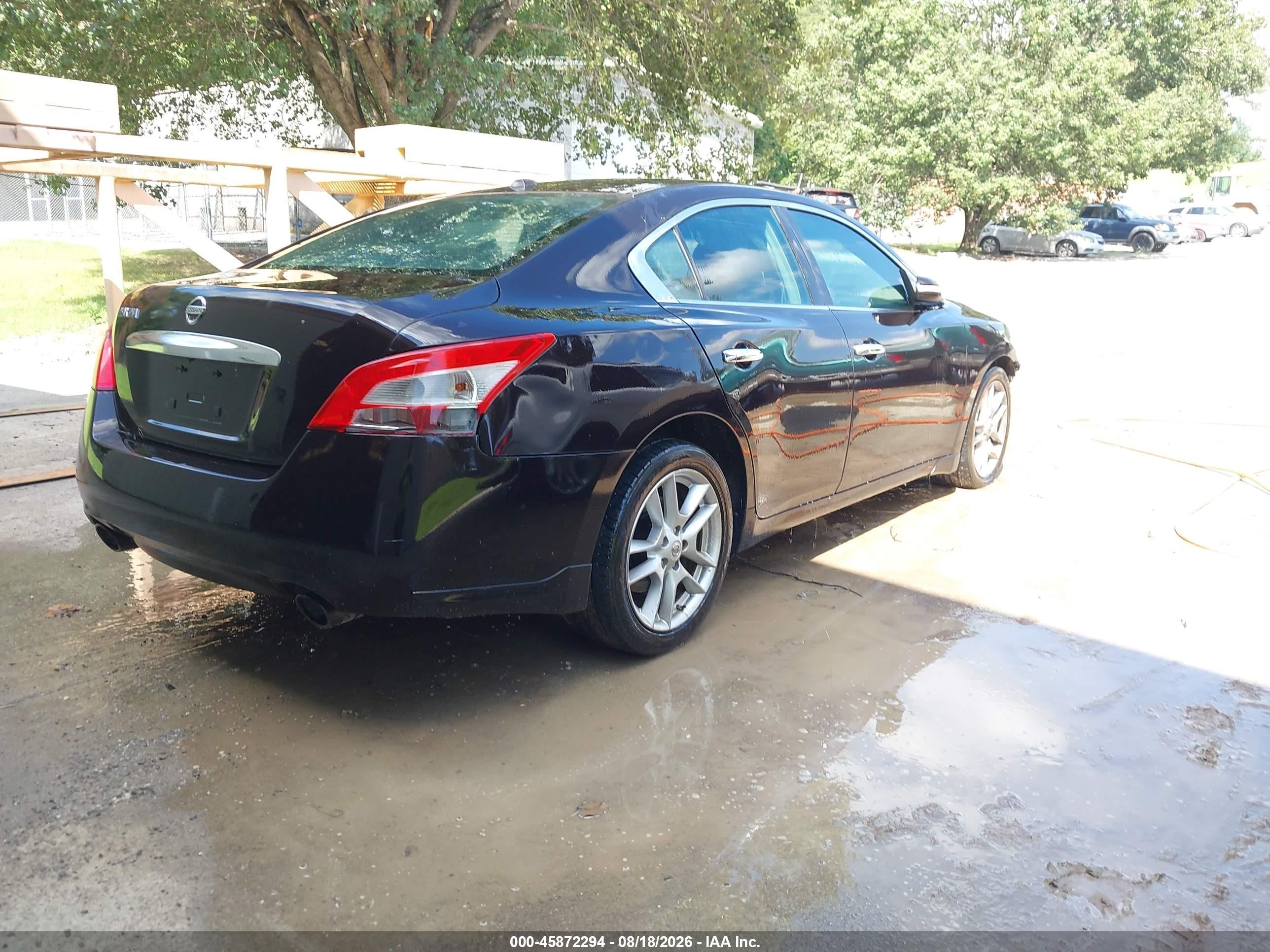 2011 Nissan Maxima 3.5 Sv Purple vin: 1N4AA5AP3BC835608