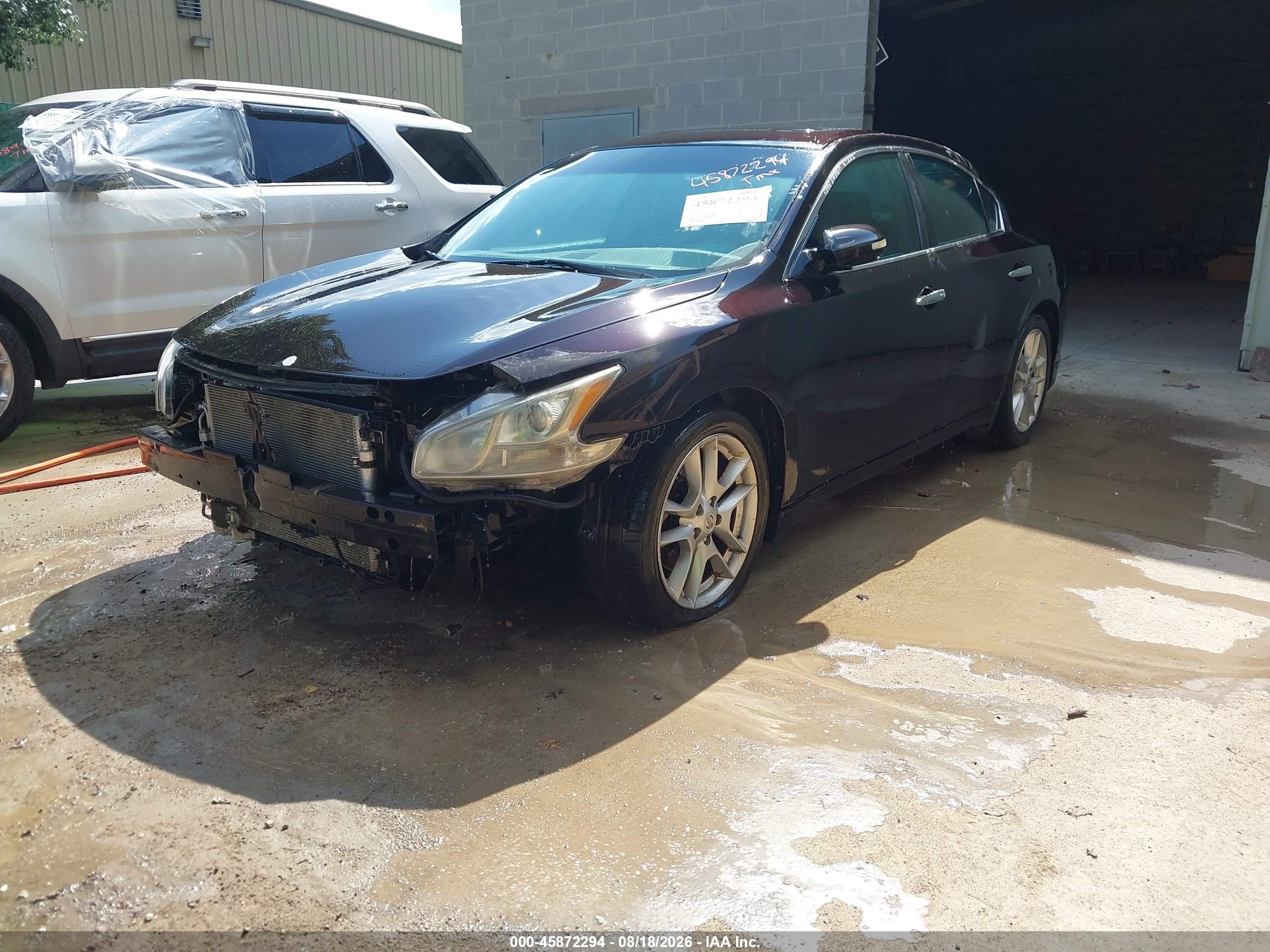 2011 Nissan Maxima 3.5 Sv Purple vin: 1N4AA5AP3BC835608