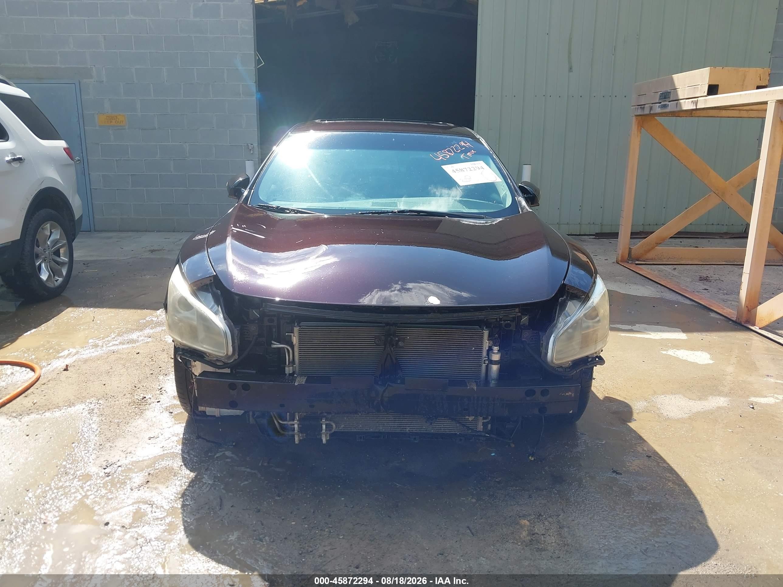 2011 Nissan Maxima 3.5 Sv Purple vin: 1N4AA5AP3BC835608