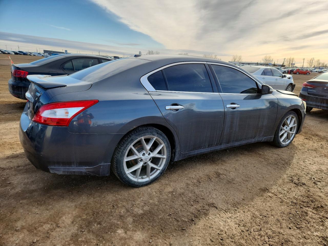 2011 Nissan Maxima 3.5 S Gray vin: 1N4AA5AP3BC849024