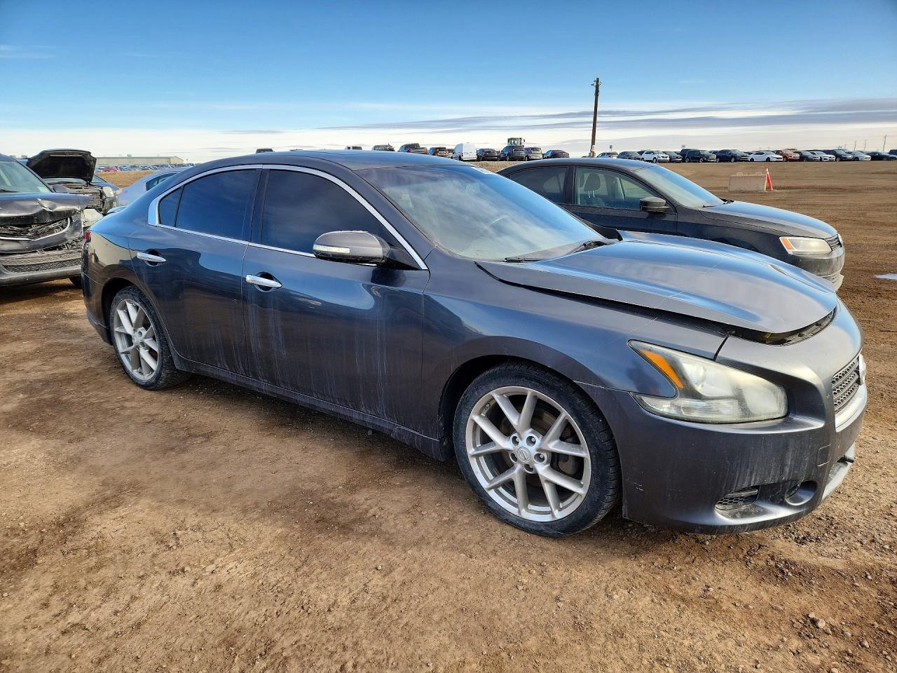 2011 Nissan Maxima 3.5 S Gray vin: 1N4AA5AP3BC849024