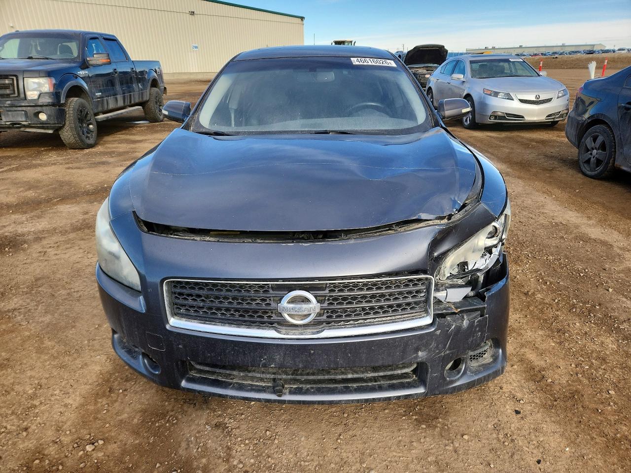 2011 Nissan Maxima 3.5 S Gray vin: 1N4AA5AP3BC849024