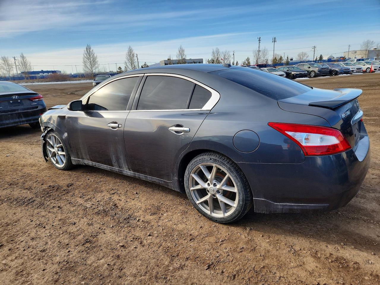 2011 Nissan Maxima 3.5 S Gray vin: 1N4AA5AP3BC849024