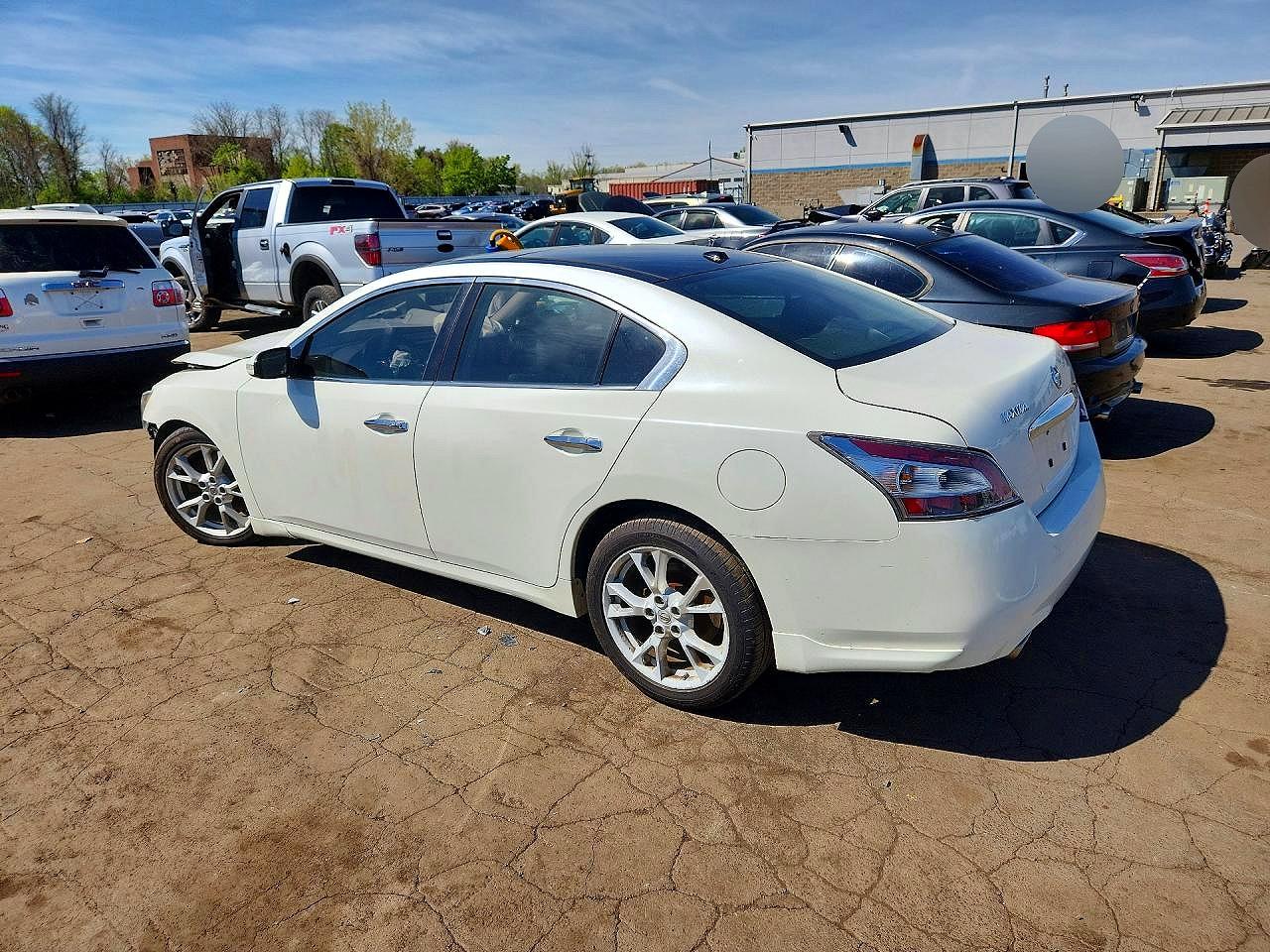 2013 Nissan Maxima White vin: 1N4AA5AP3DC826426