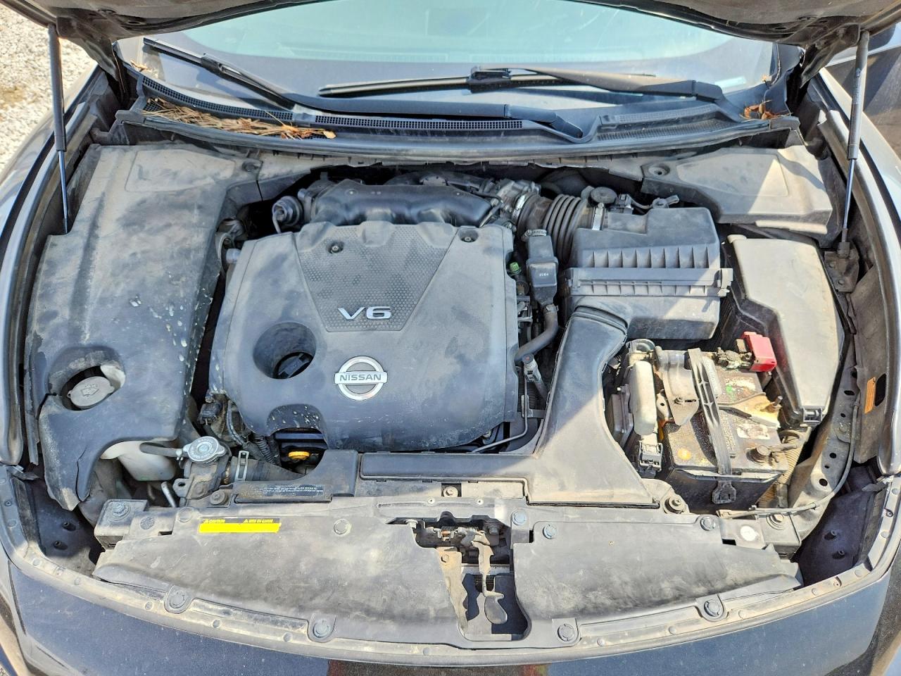 2010 Nissan Maxima 3.5 S Черный vin: 1N4AA5AP4AC802499