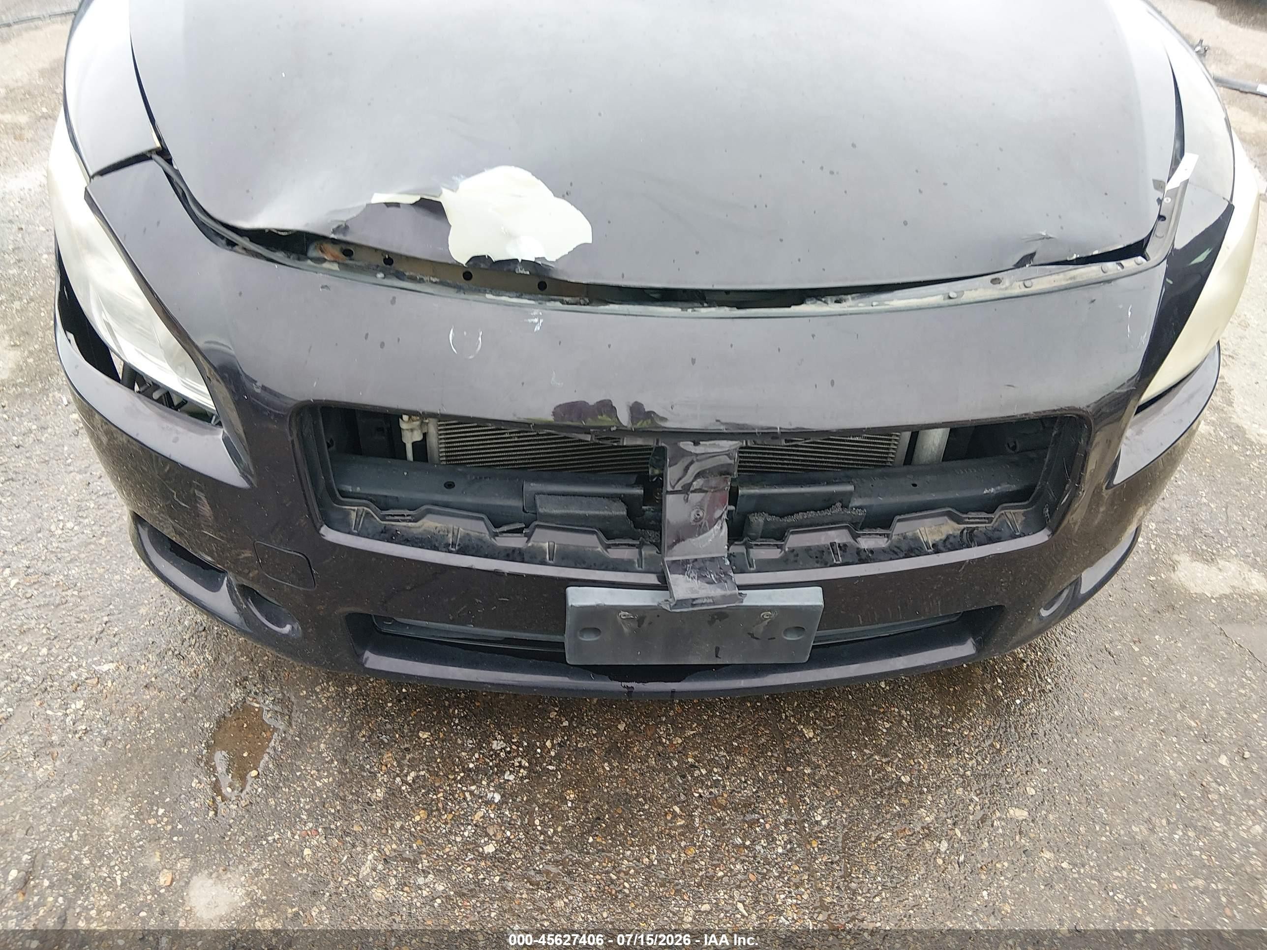 2010 Nissan Maxima 3.5 Sv Purple vin: 1N4AA5AP4AC842775