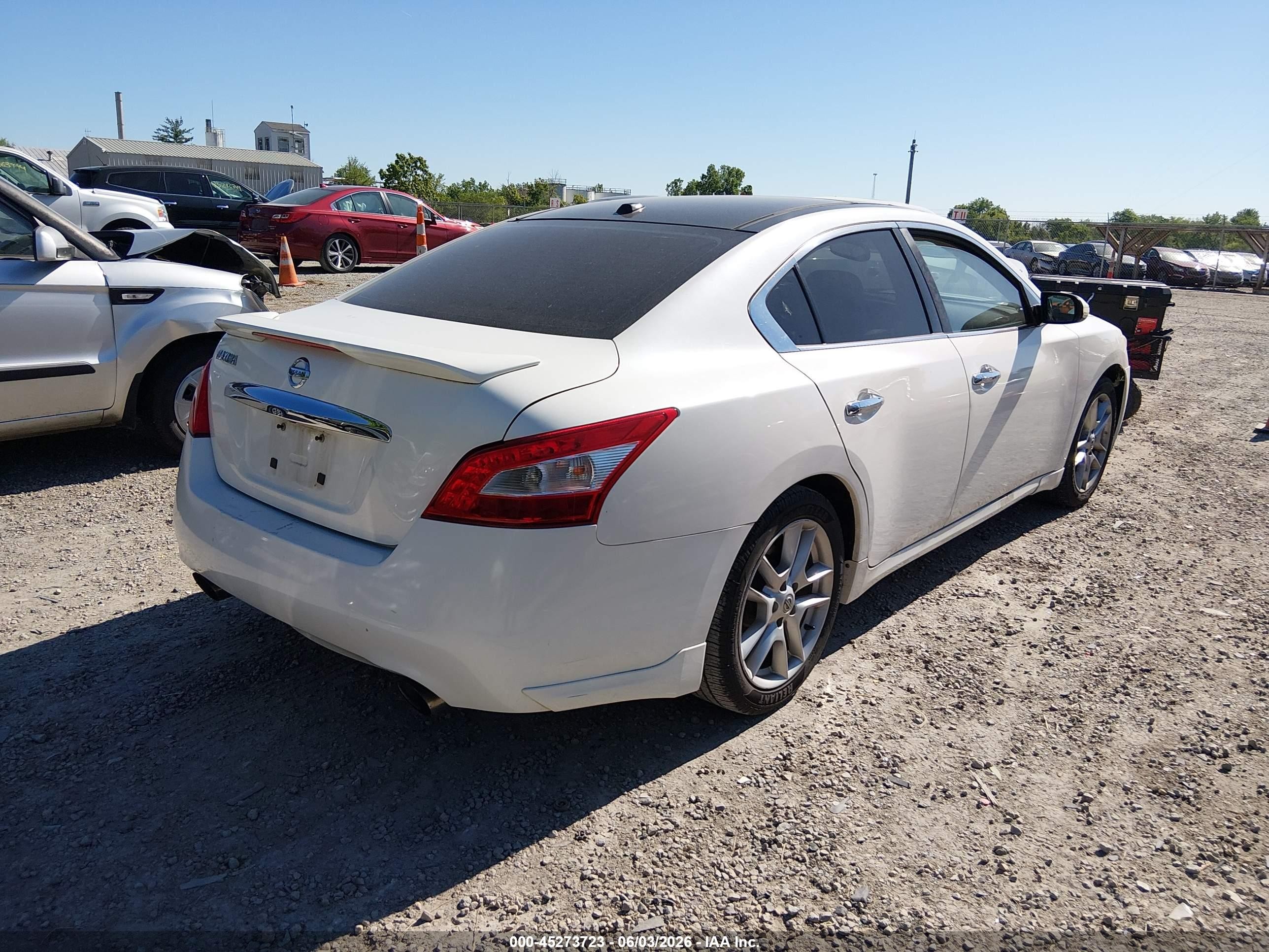 2010 Nissan Maxima 3.5 Sv Белый vin: 1N4AA5AP4AC843487
