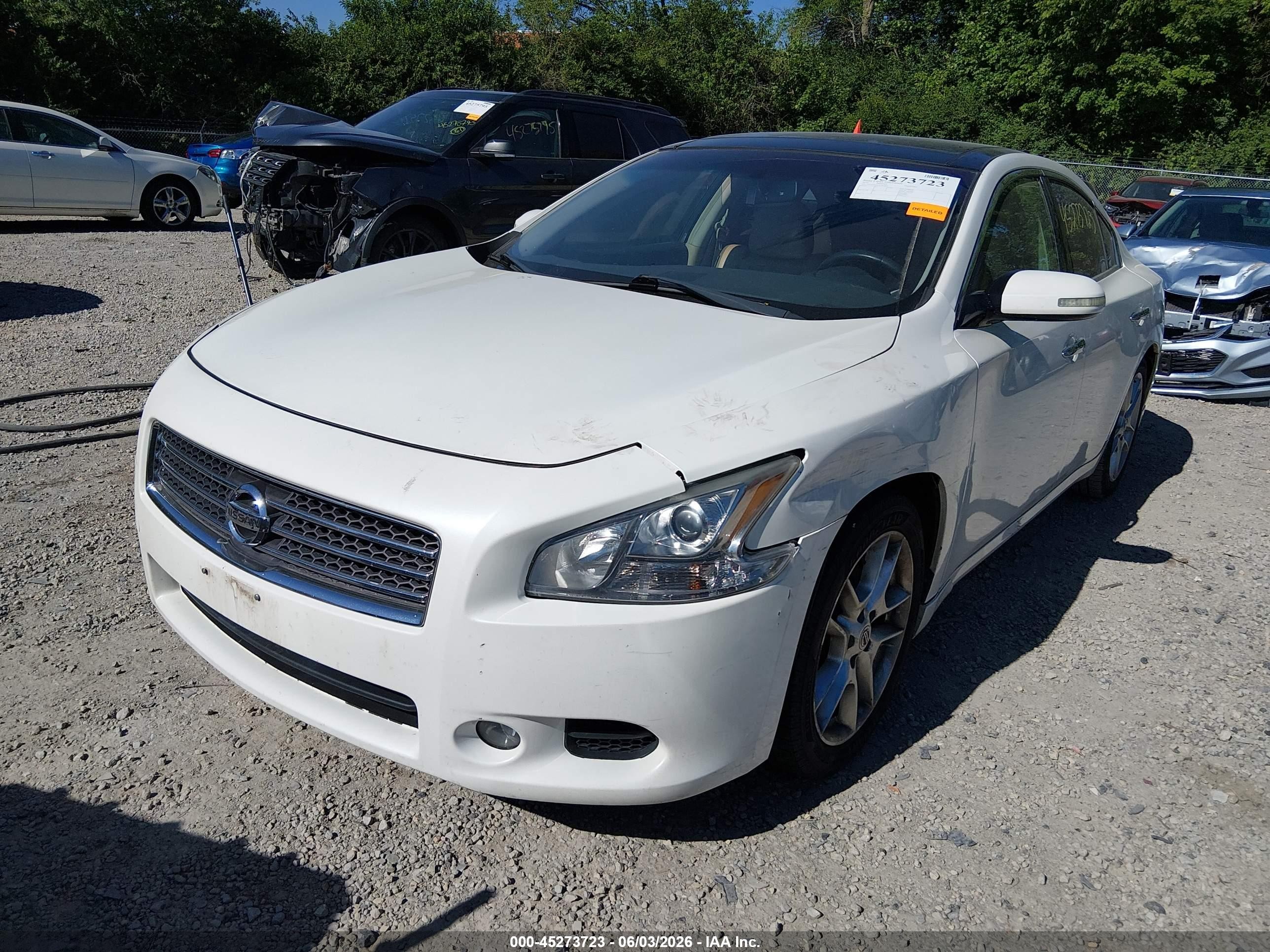 2010 Nissan Maxima 3.5 Sv Белый vin: 1N4AA5AP4AC843487