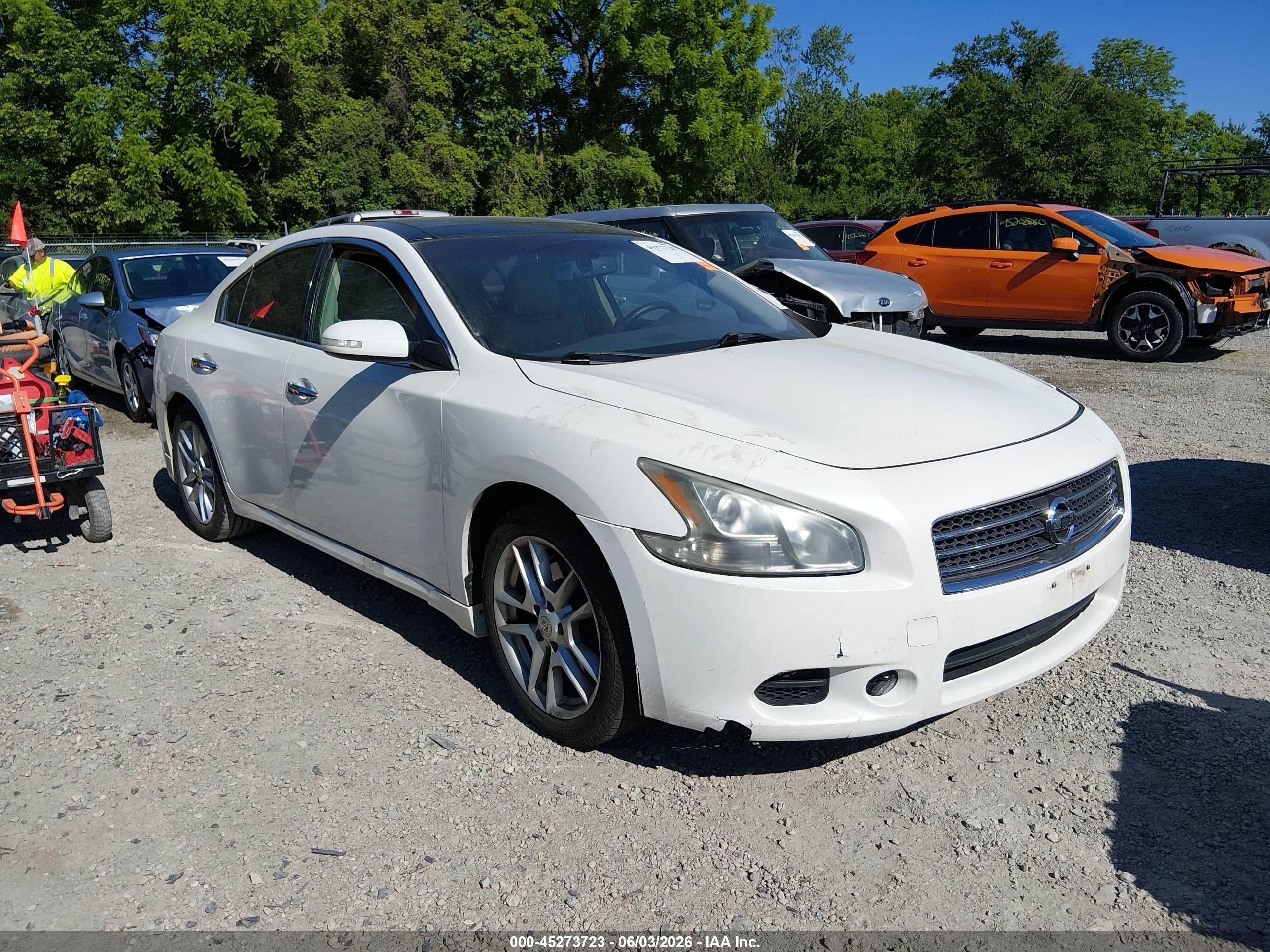 2010 Nissan Maxima 3.5 Sv Белый vin: 1N4AA5AP4AC843487